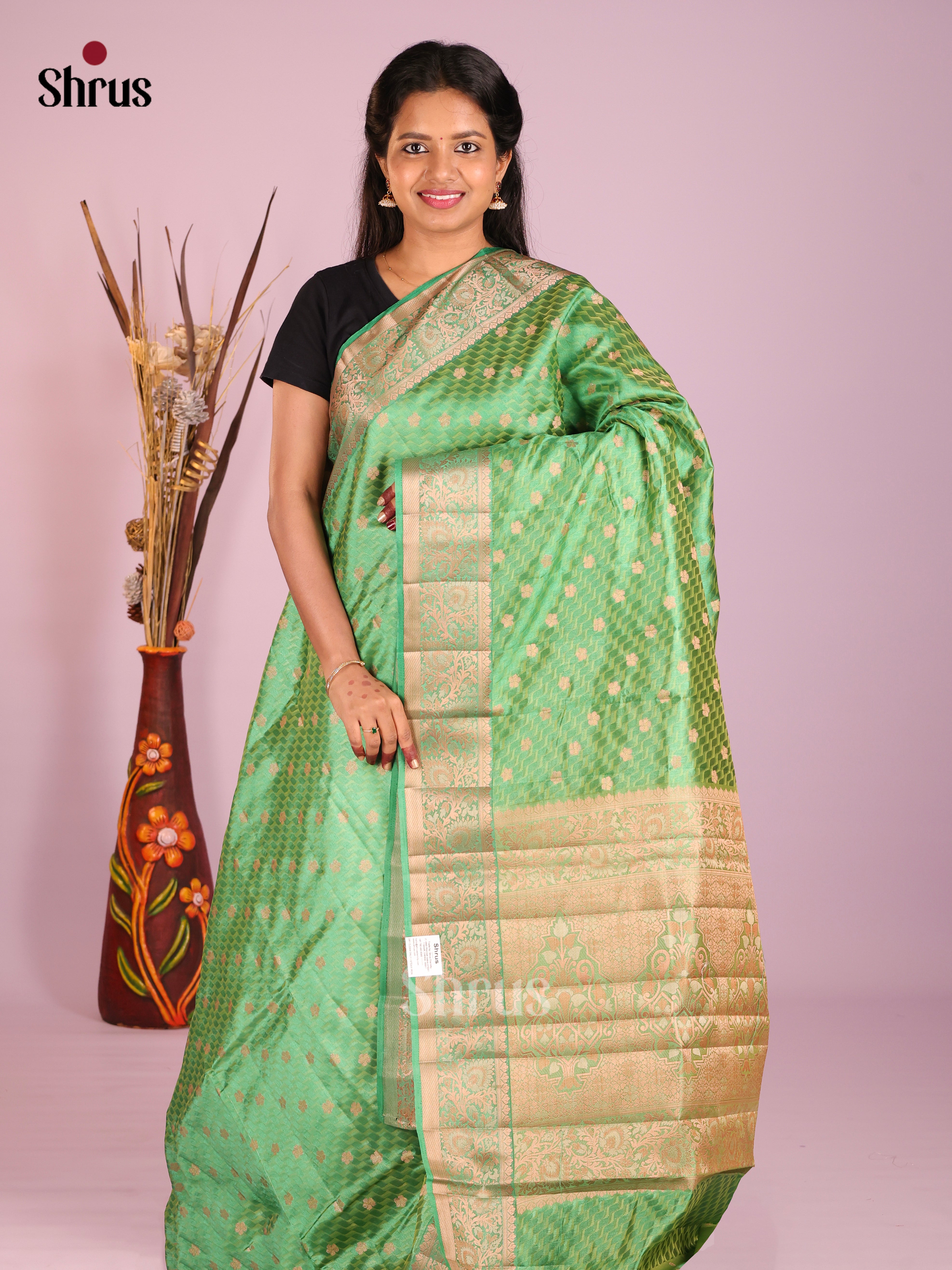 Pastel Green - Semi Rawsilk Saree