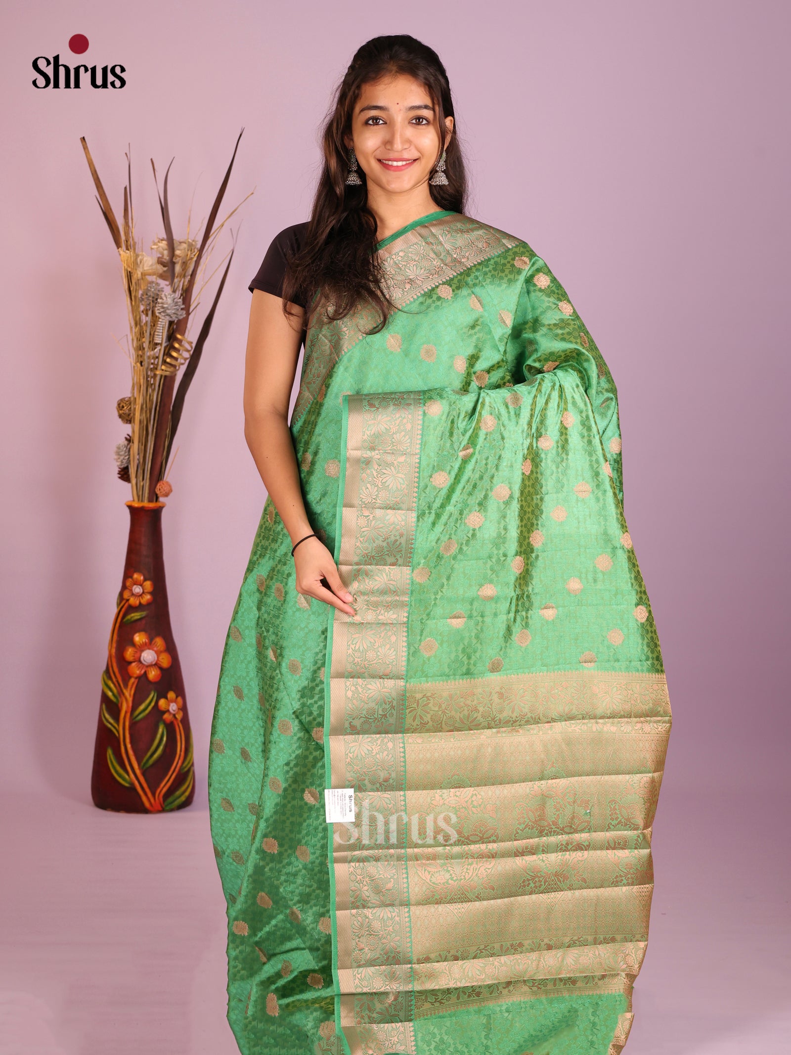 Pastel Green - Semi Rawsilk Saree
