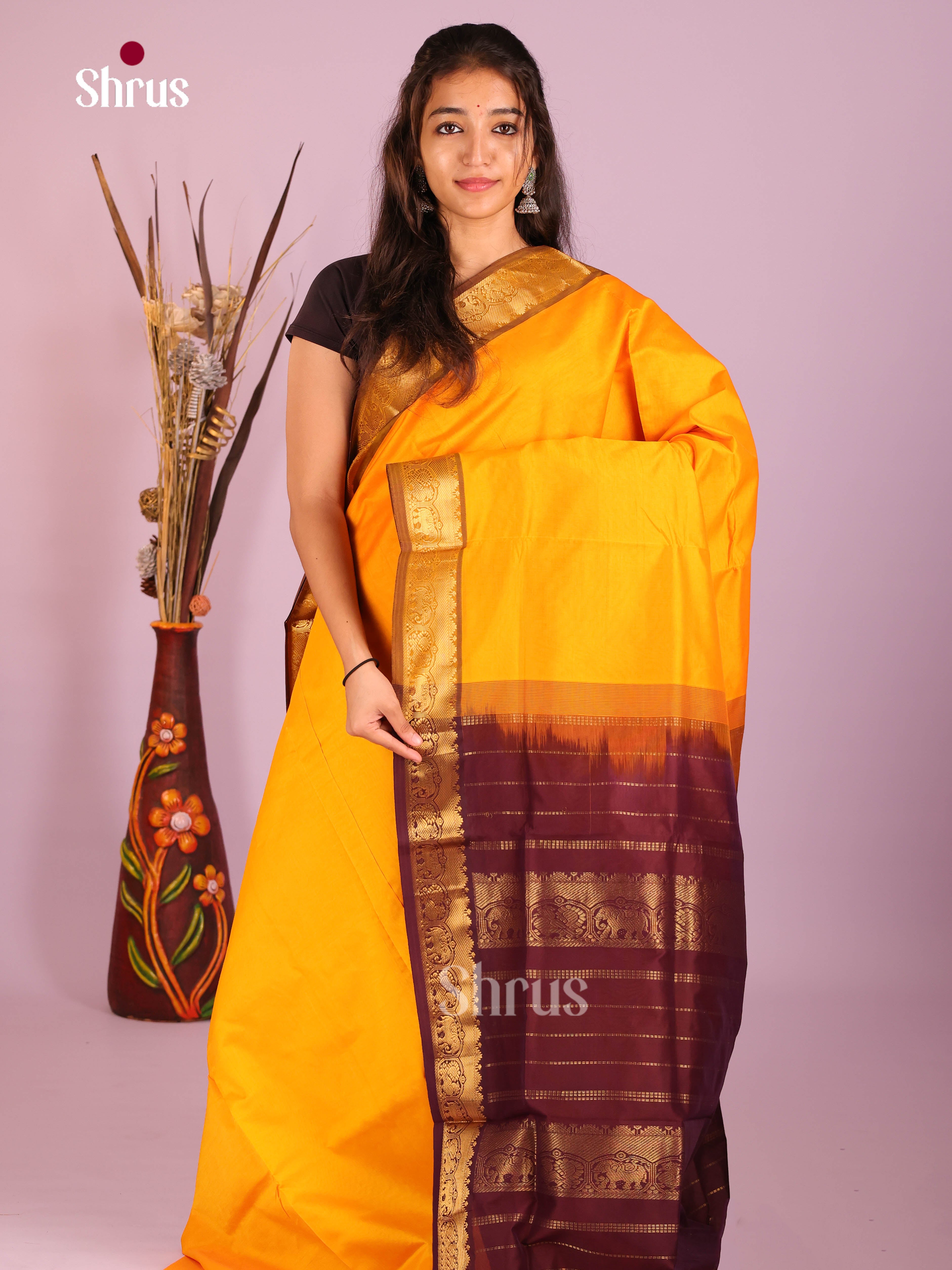 Yellow & Brown - Silkcotton-halfpure Saree