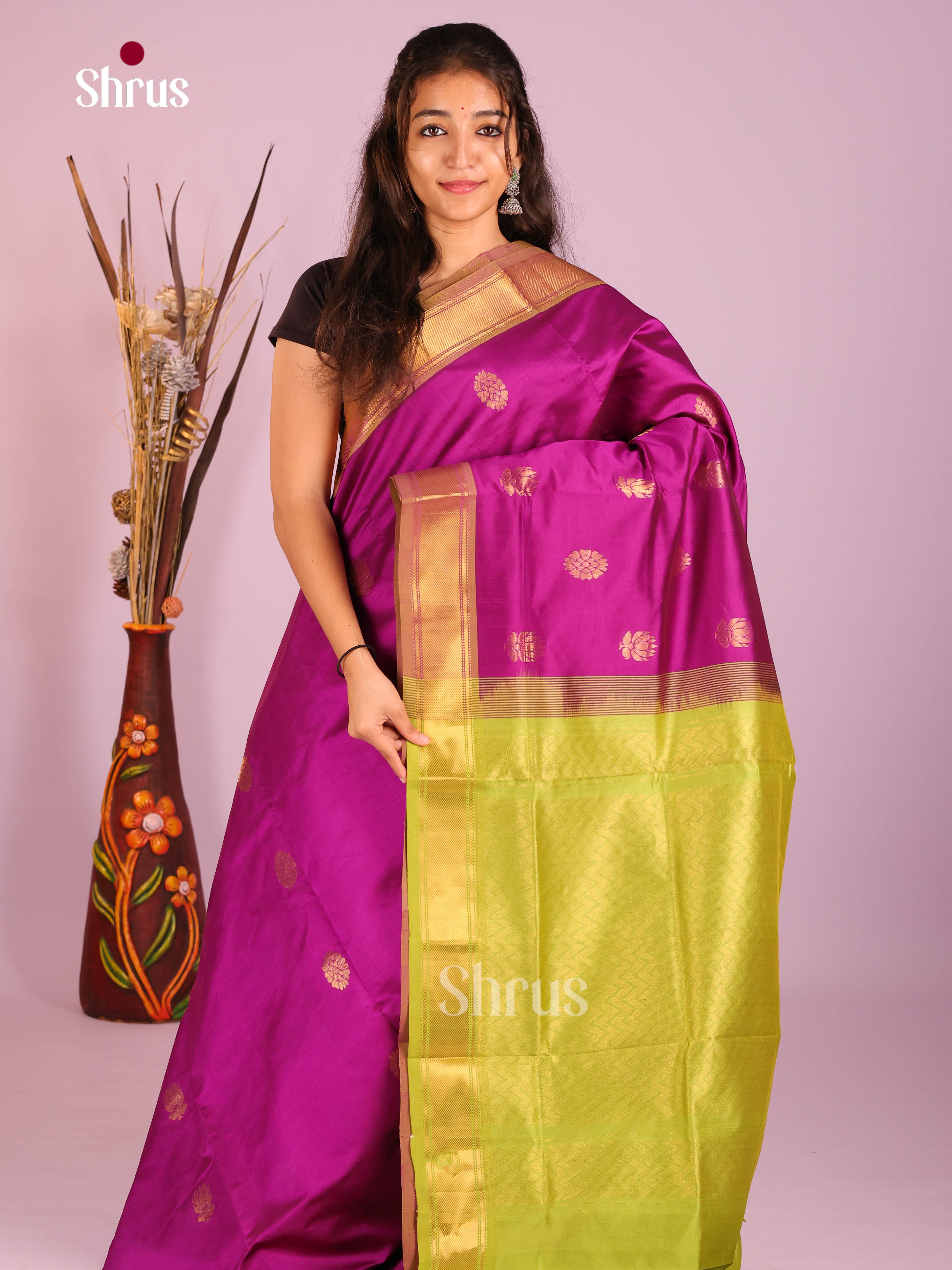 DIS10437 - Silkcotton-halfpure Saree - Shop on Shrus.com