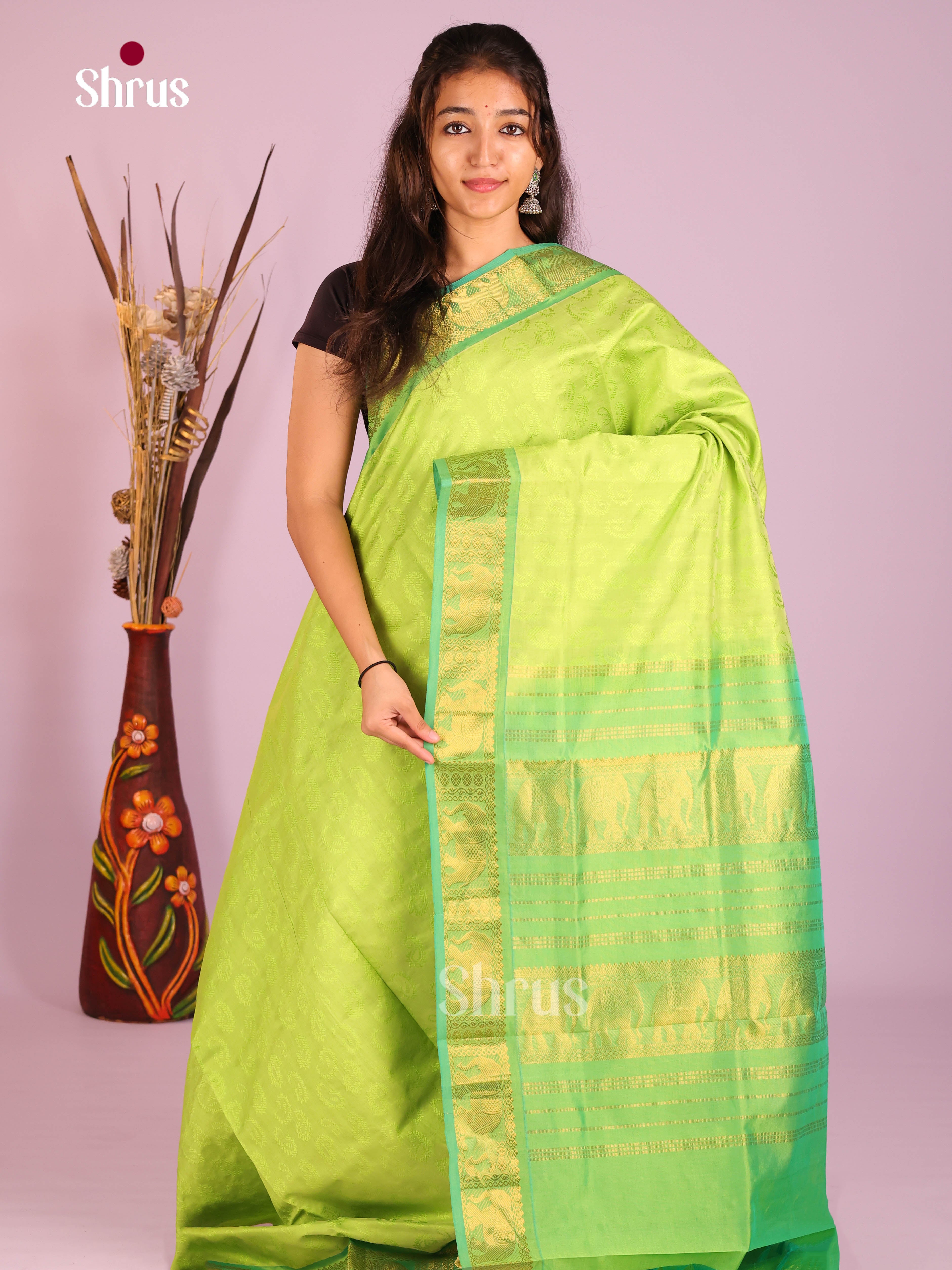 Pista Green & Green - Silkcotton-halfpure Saree - Shop on Shrus.com