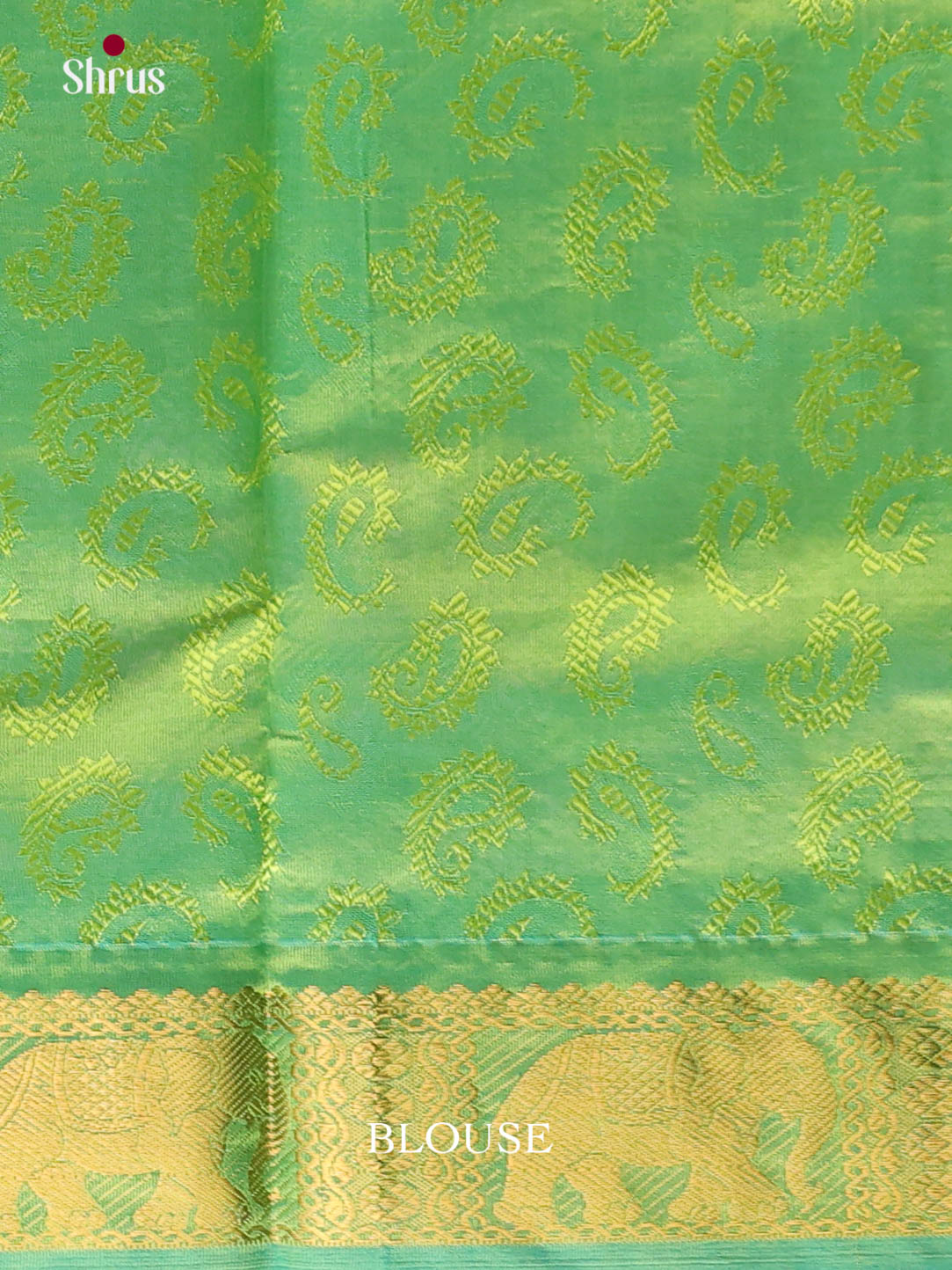 Pista Green & Green - Silkcotton-halfpure Saree - Shop on Shrus.com