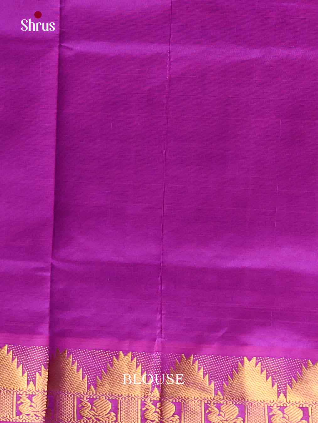DIS10524 - Silkcotton-halfpure Saree - Shop on Shrus.com