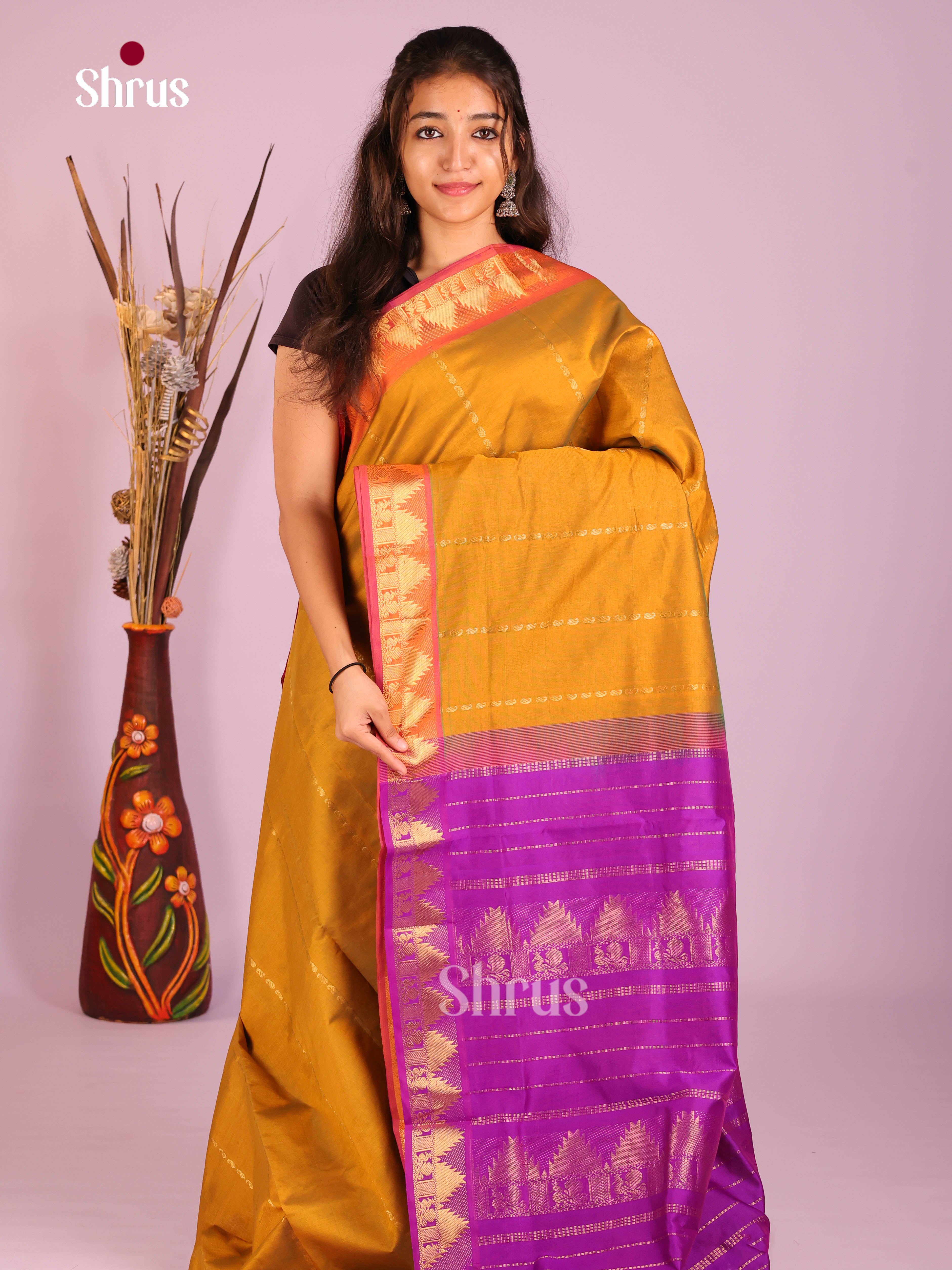 Mustard & Violet - Silkcotton-halfpure Saree