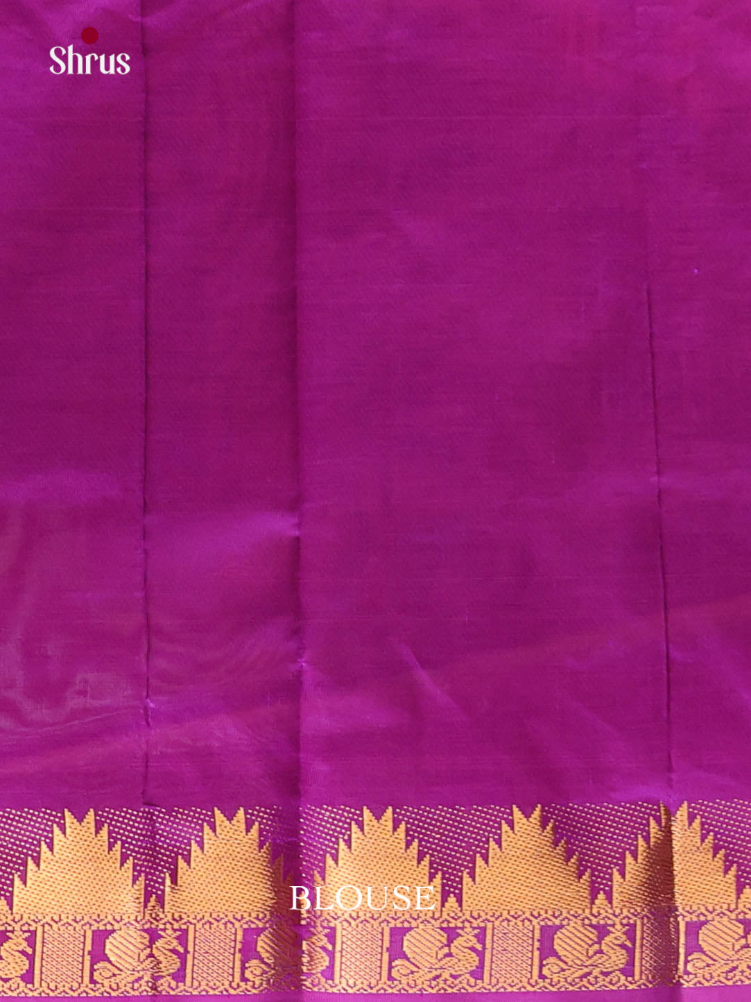Mustard & Violet - Silkcotton-halfpure Saree 1