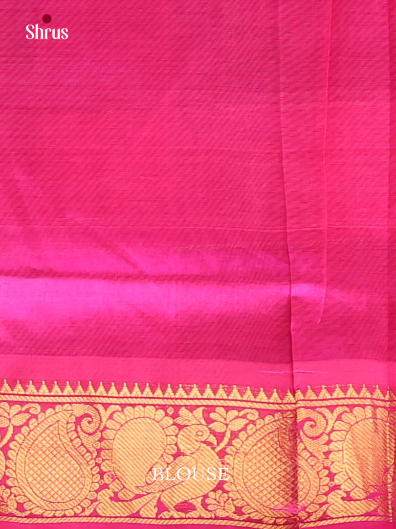 DIS10607 - NON KORVAI MEDIUM BORDER-Checks Saree - Shop on Shrus.com