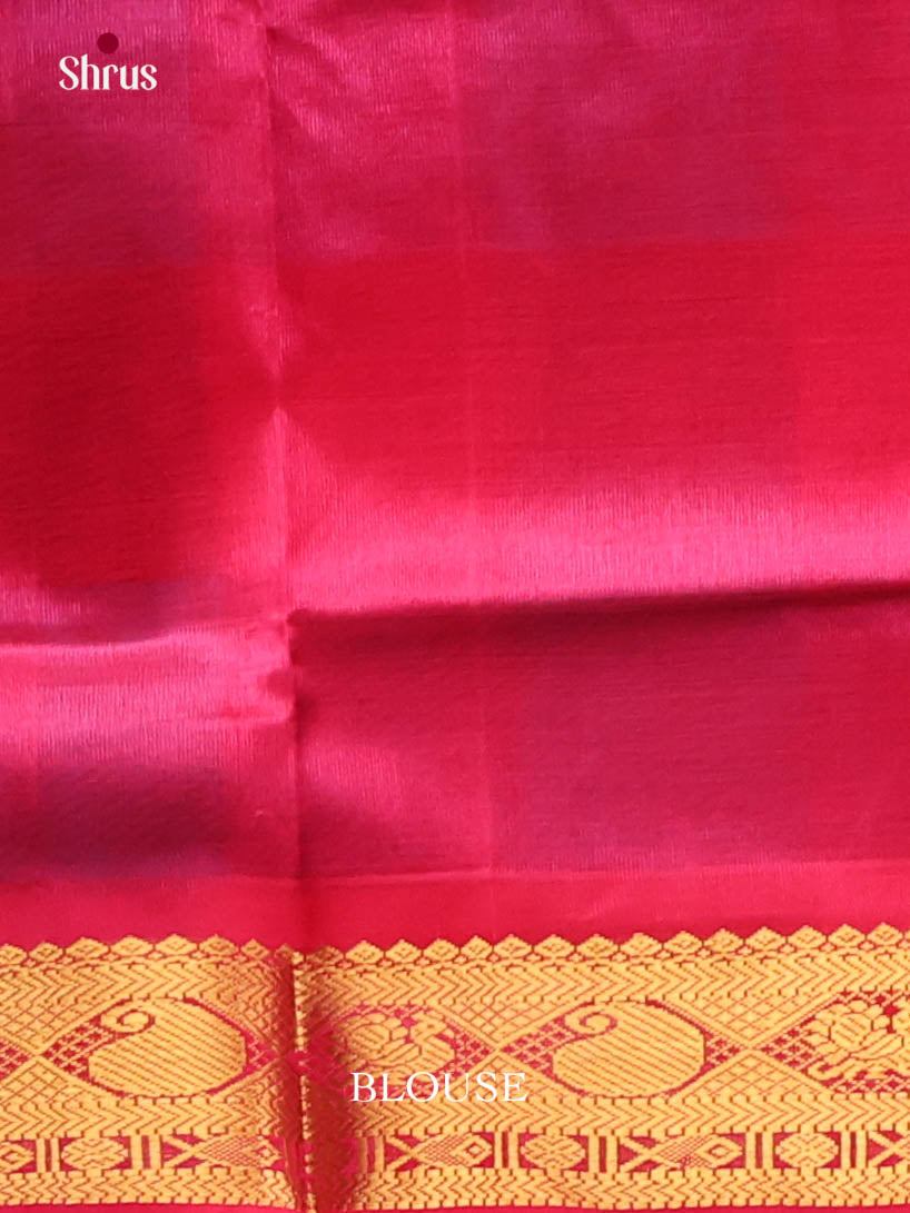 DIS10620 - NON KORVAI MEDIUM BORDER-Checks Saree - Shop on Shrus.com