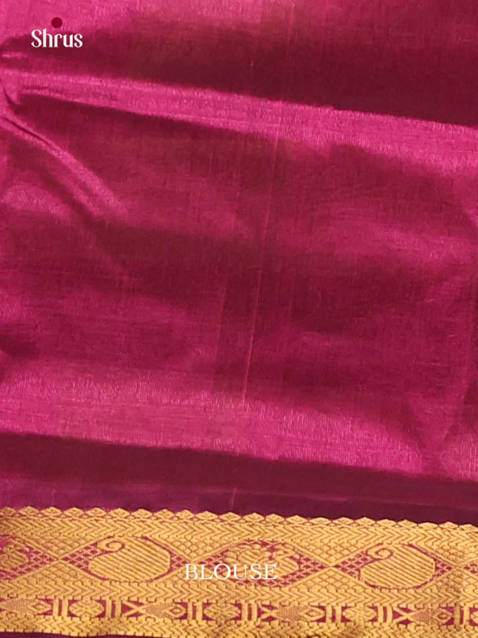 Graceful Green & Purple Checked Silk Cotton Saree With Zari Border & Pallu 1