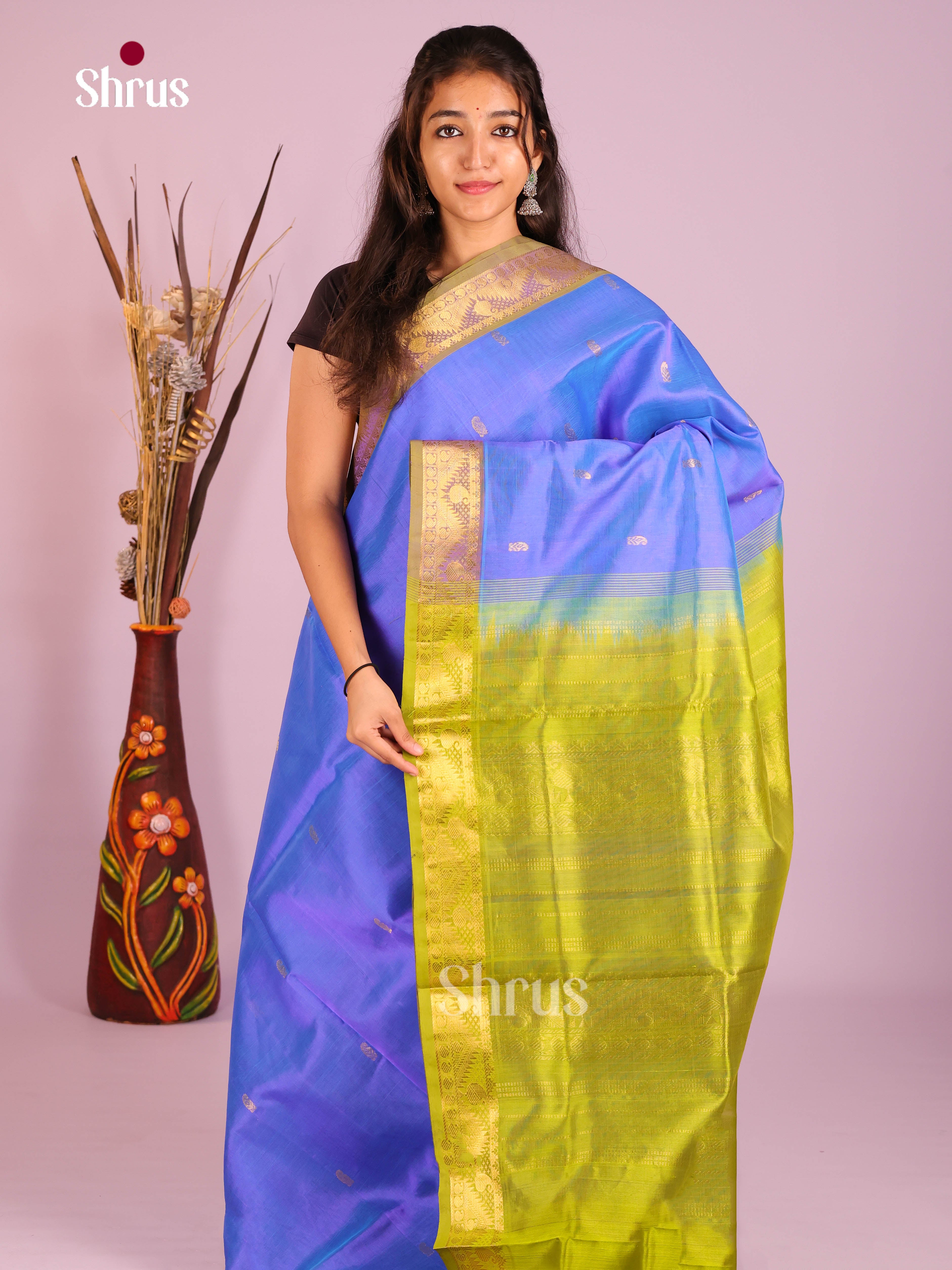 Classic Blue Silk Cotton Saree With Golden Buttas & Green Zari Woven Brocade Pallu