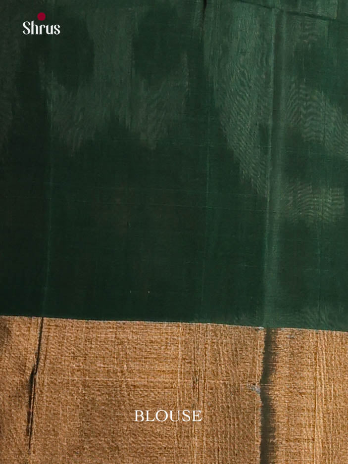 Grey & Green - Pochampally sico Saree