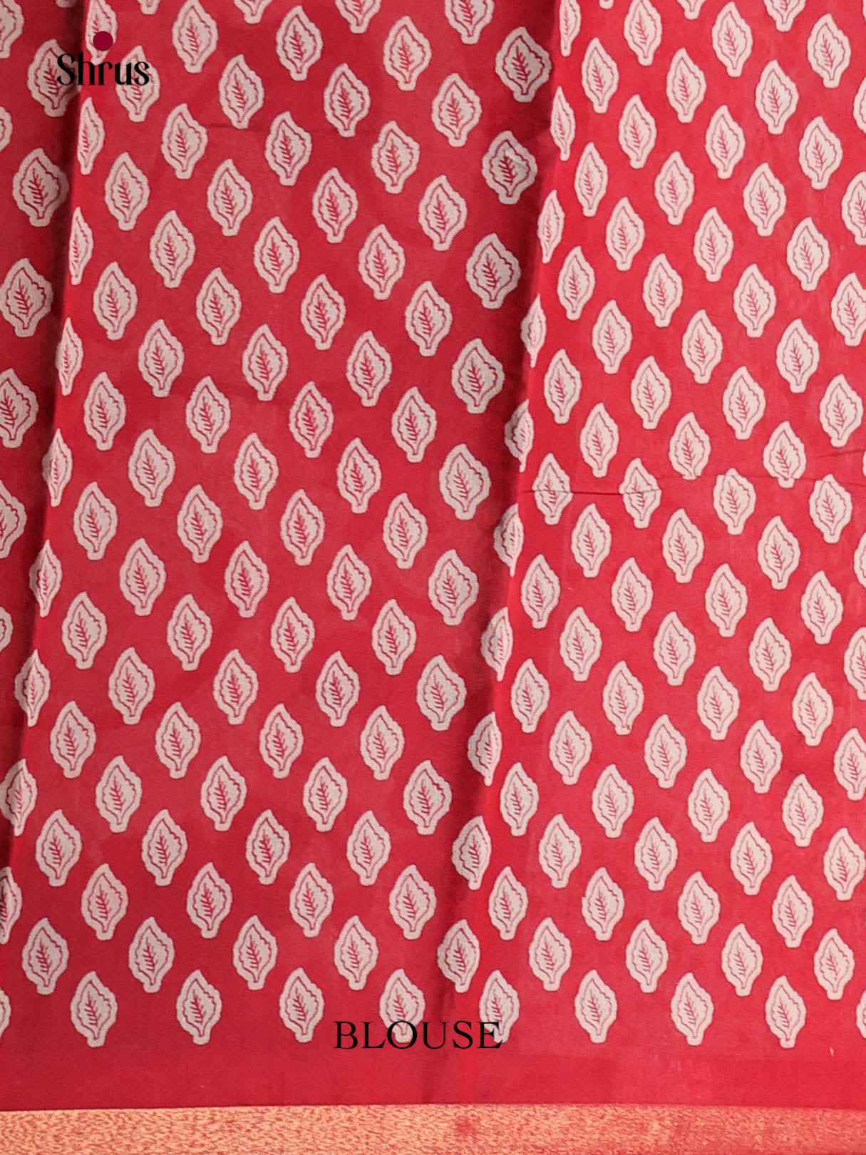 Black & Red - Art Modal Saree