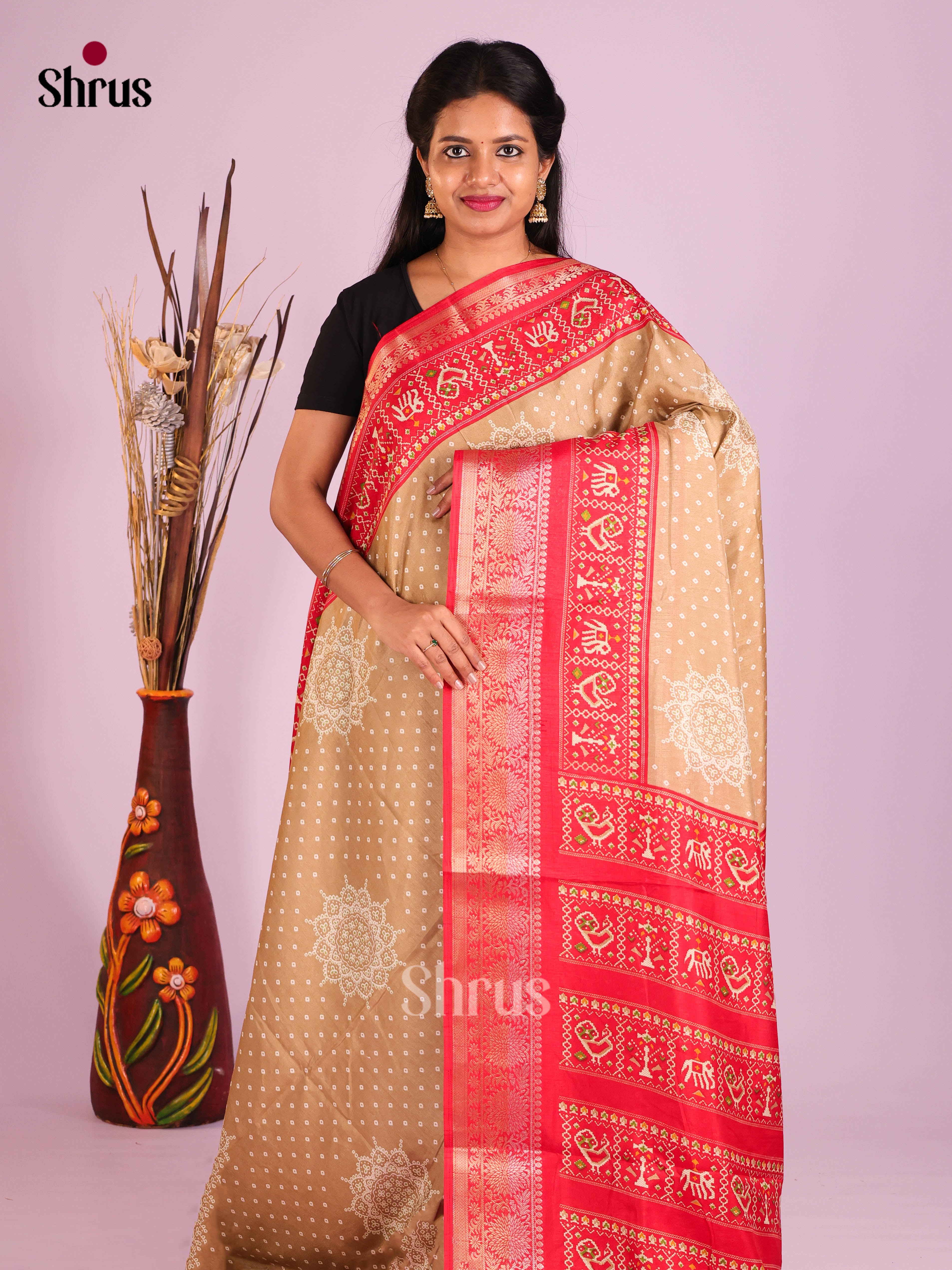 DIS12163 - Bandhini Saree