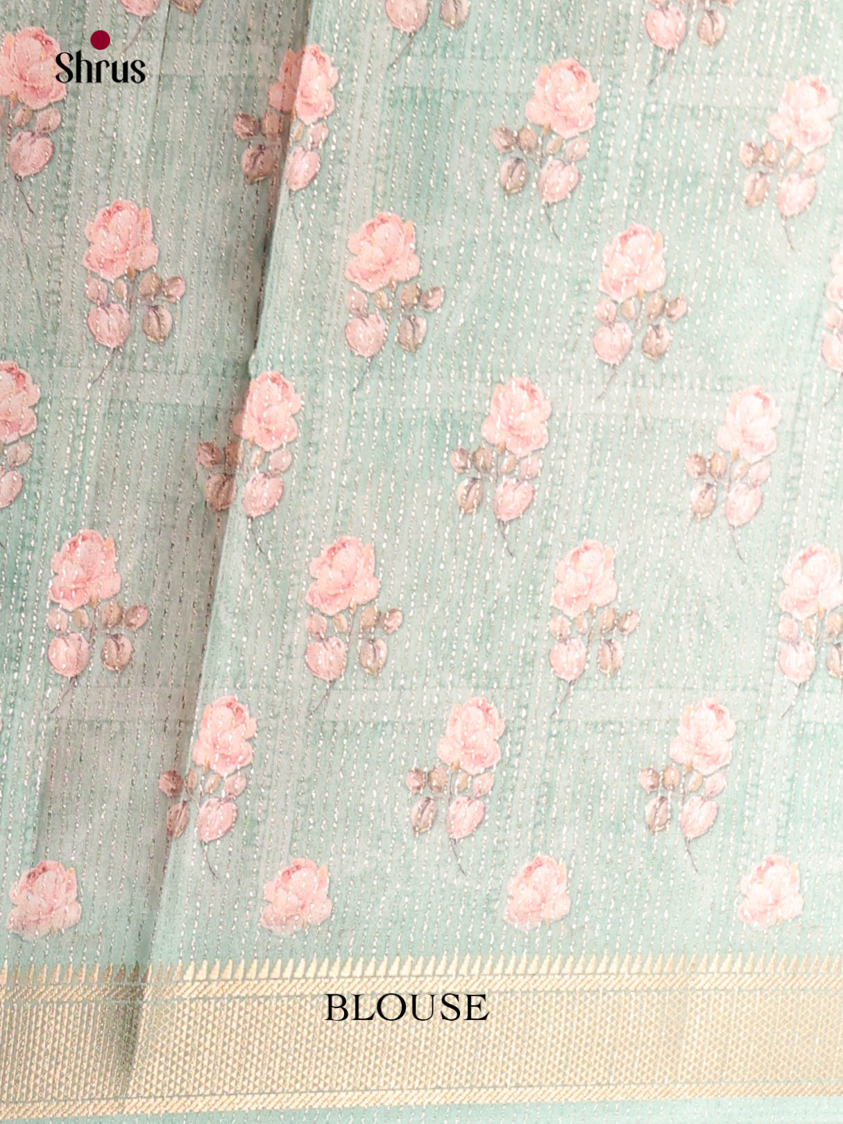 Pastel Blue - Semi Dola silk Saree