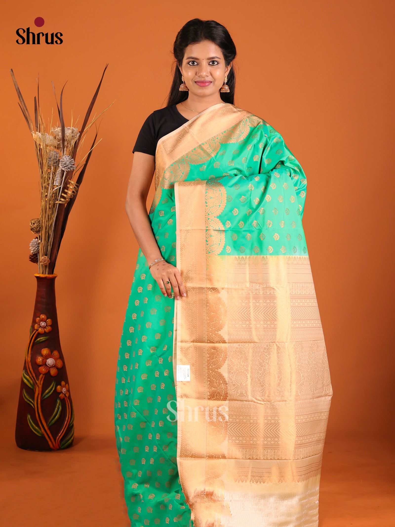 Pastel Green & Cream - Semi Kanchipuram Saree