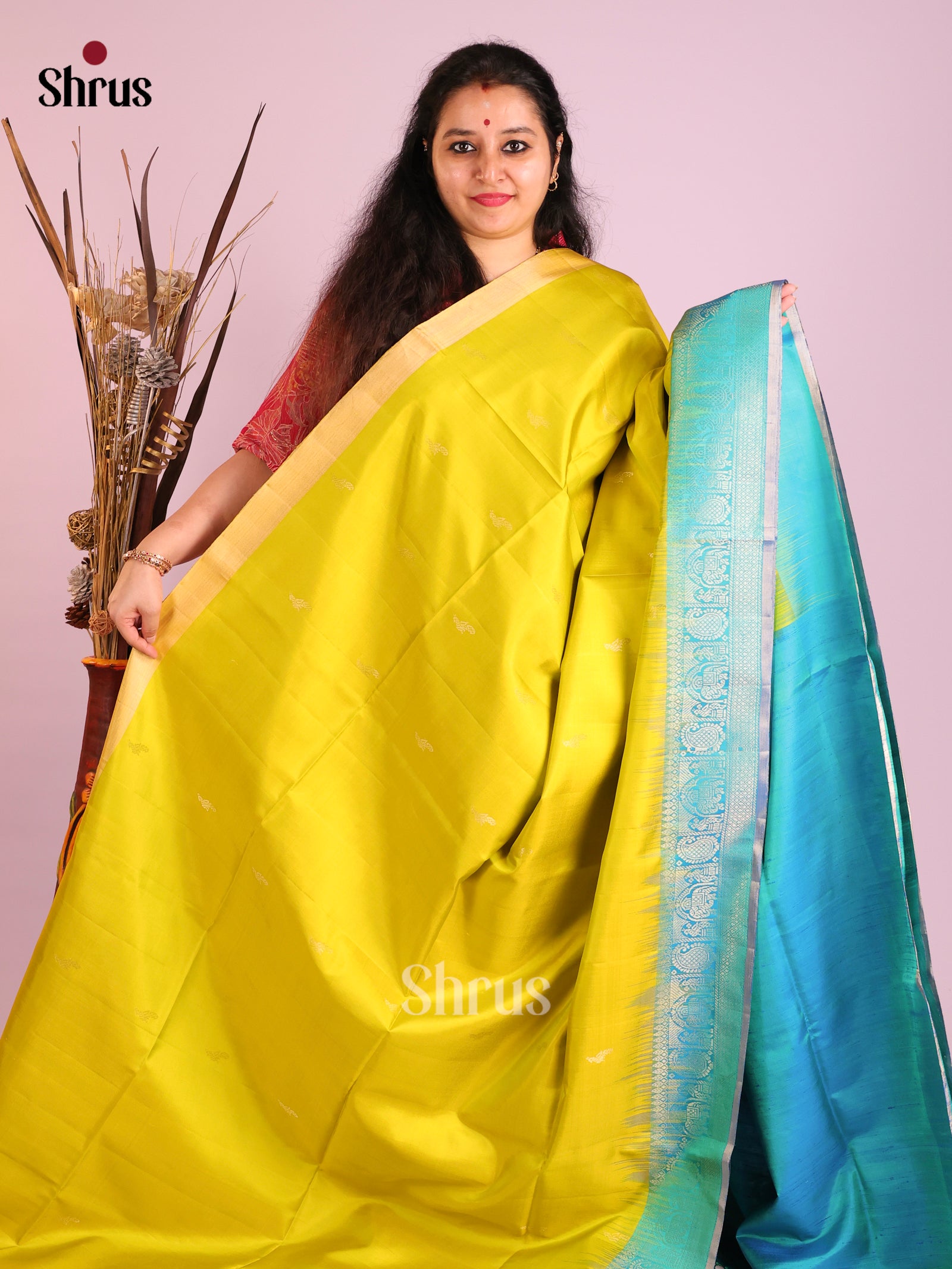 DIS16020 - Soft Silk (HR) Saree