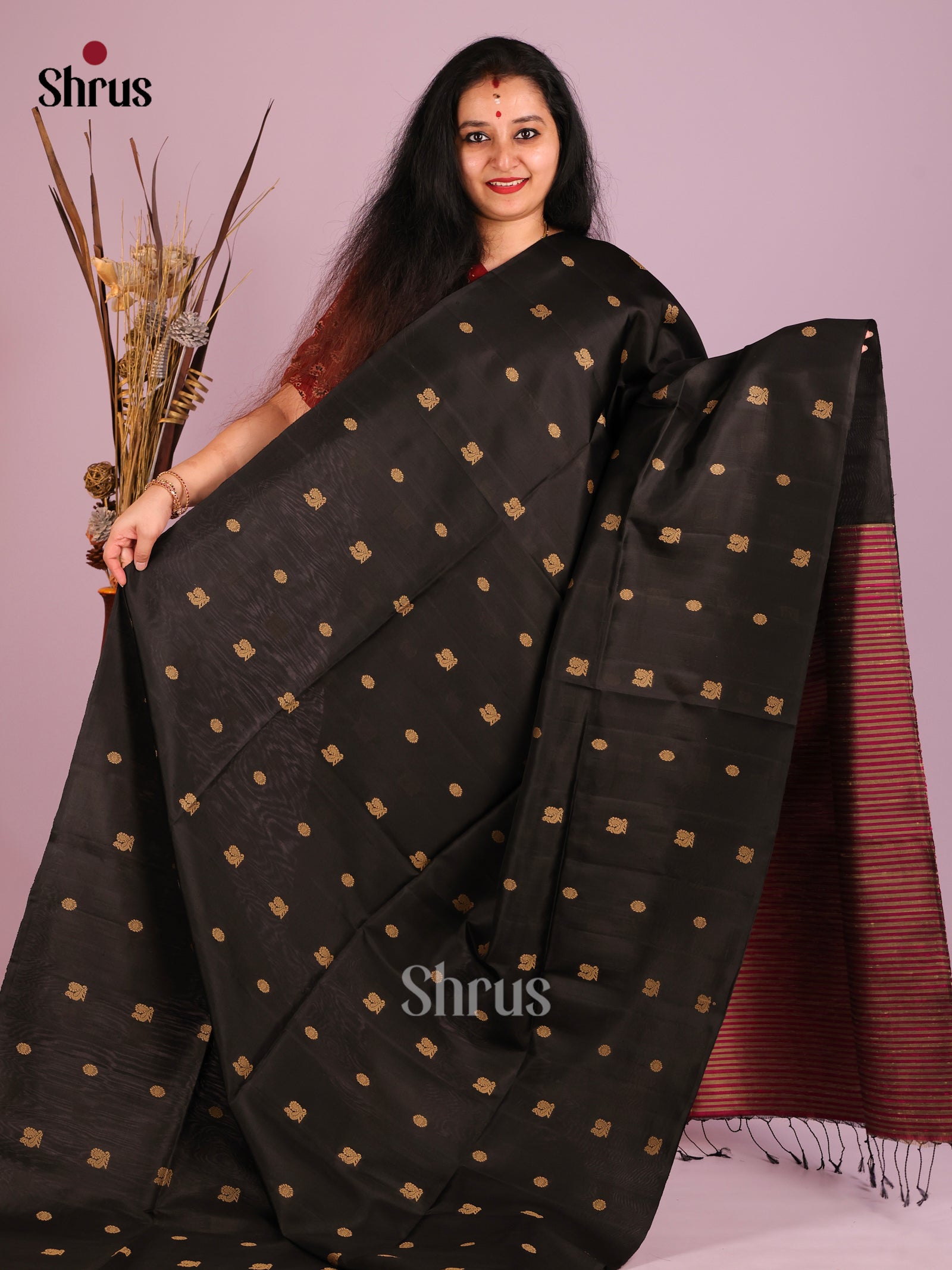 DIS16052 - Soft Silk (HR) Saree