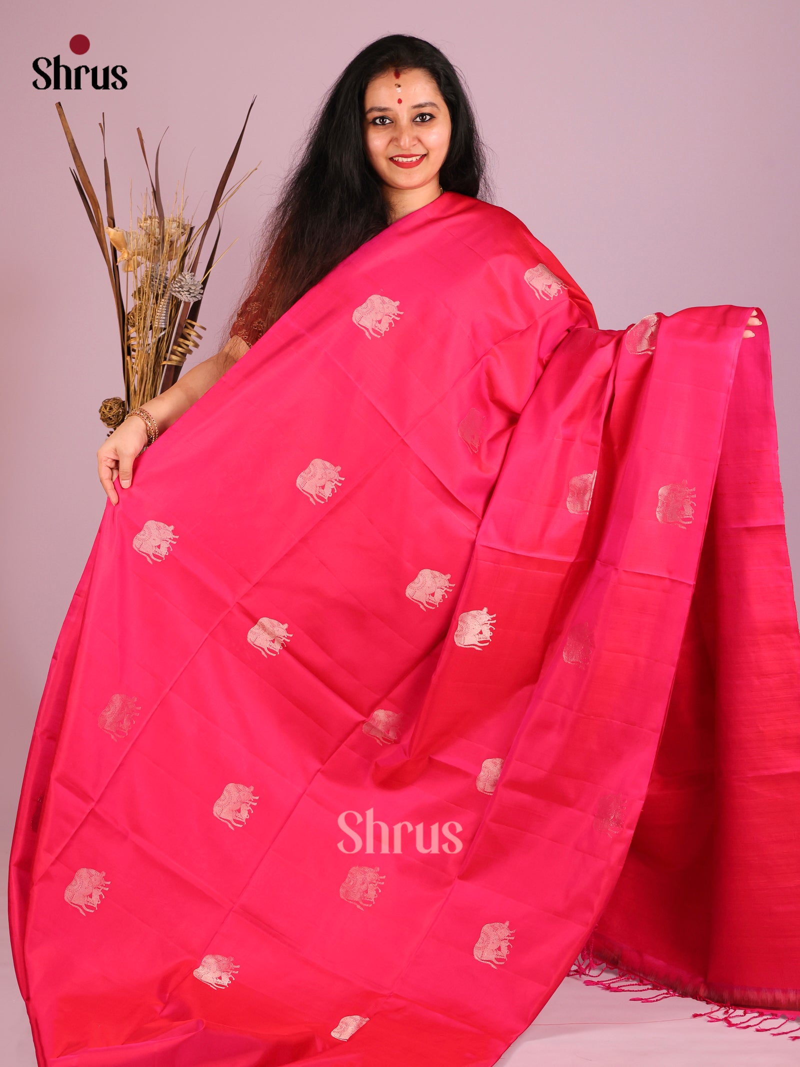 DIS16092 - Soft Silk (HR) Saree