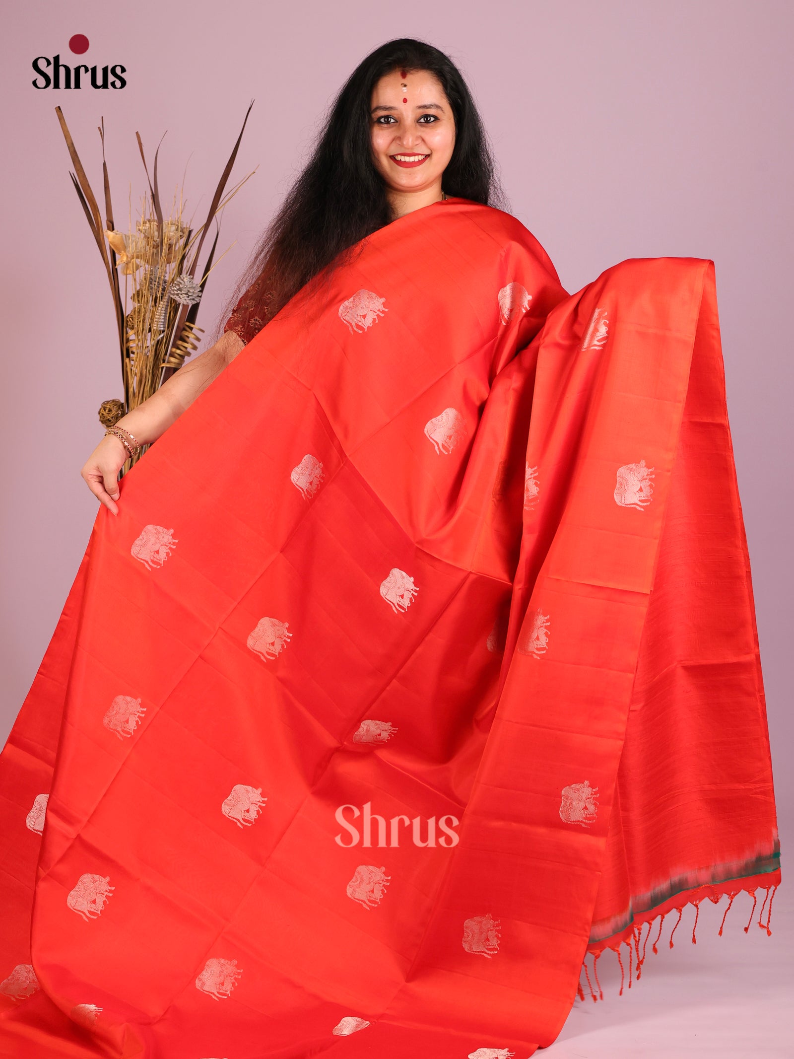 DIS16093 - Soft Silk (HR) Saree