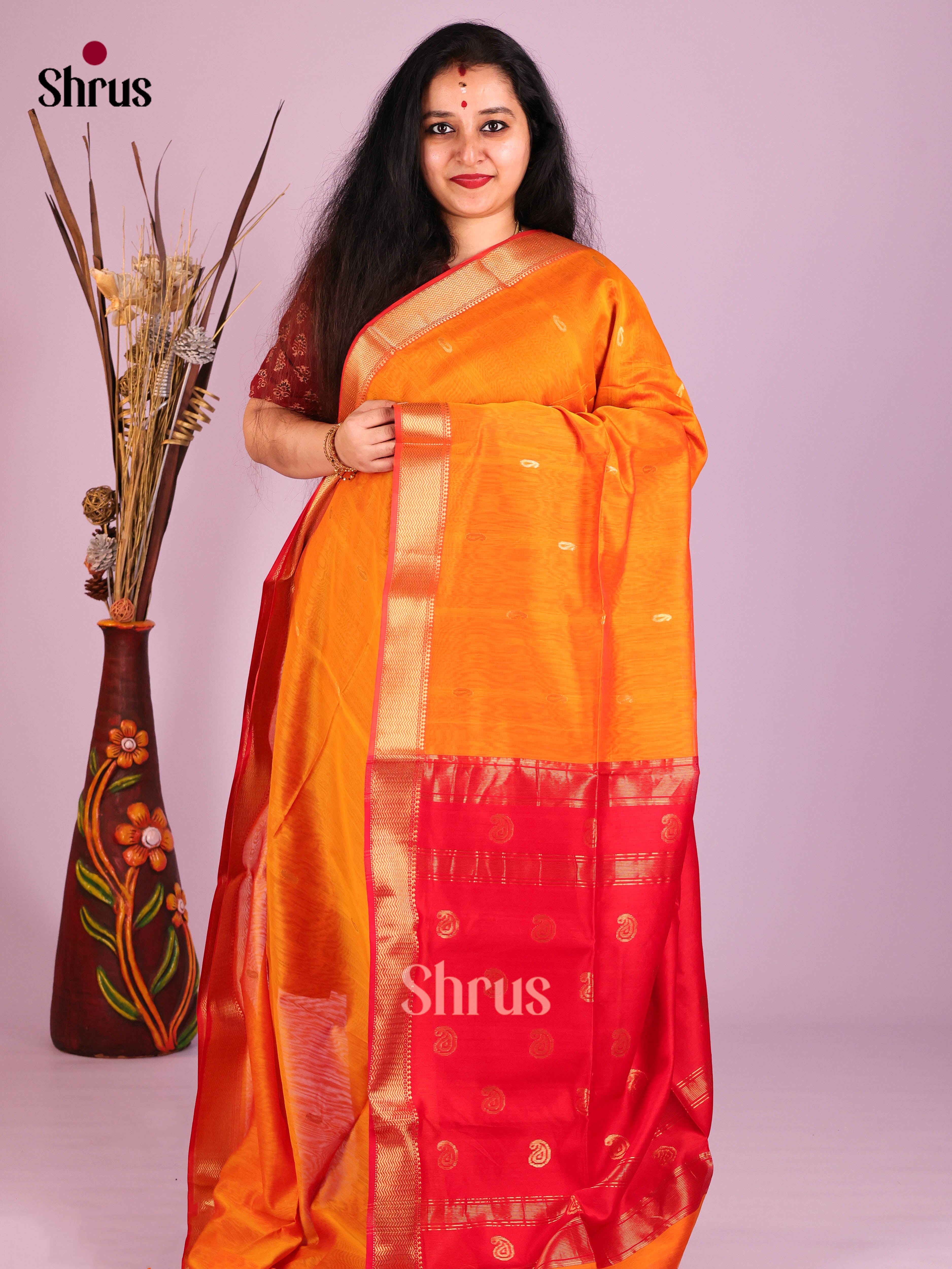 DIS16292 - Maheshwari silkcotton Saree - Shop on Shrus.com