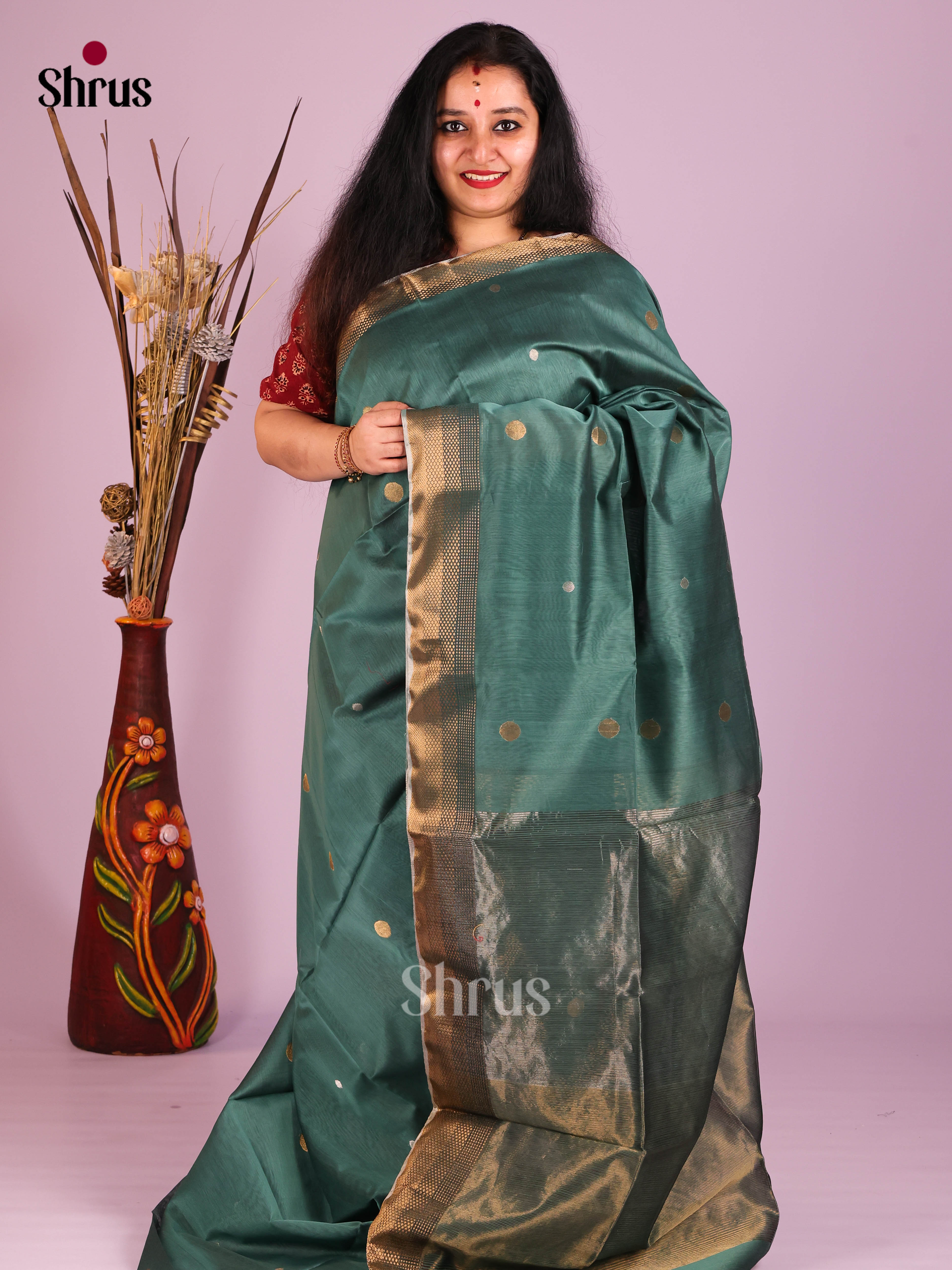 Pastel Green- Maheshwari silkcotton Saree - Shop on Shrus.com