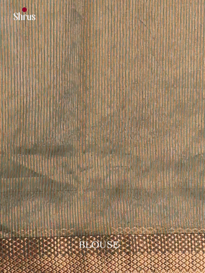Pastel Green- Maheshwari silkcotton Saree - Shop on Shrus.com