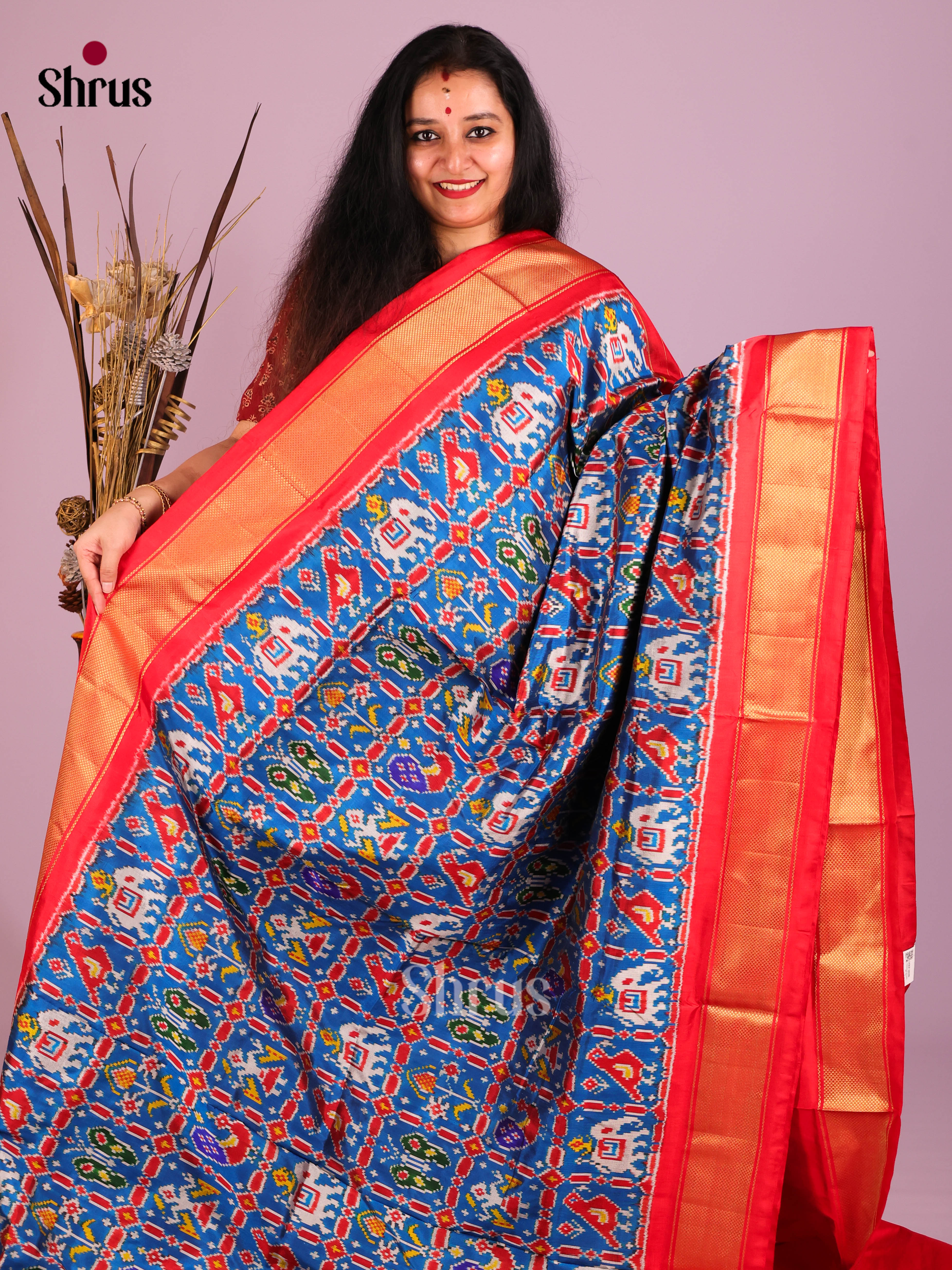 Blue & Red - Ikkat Silk Saree