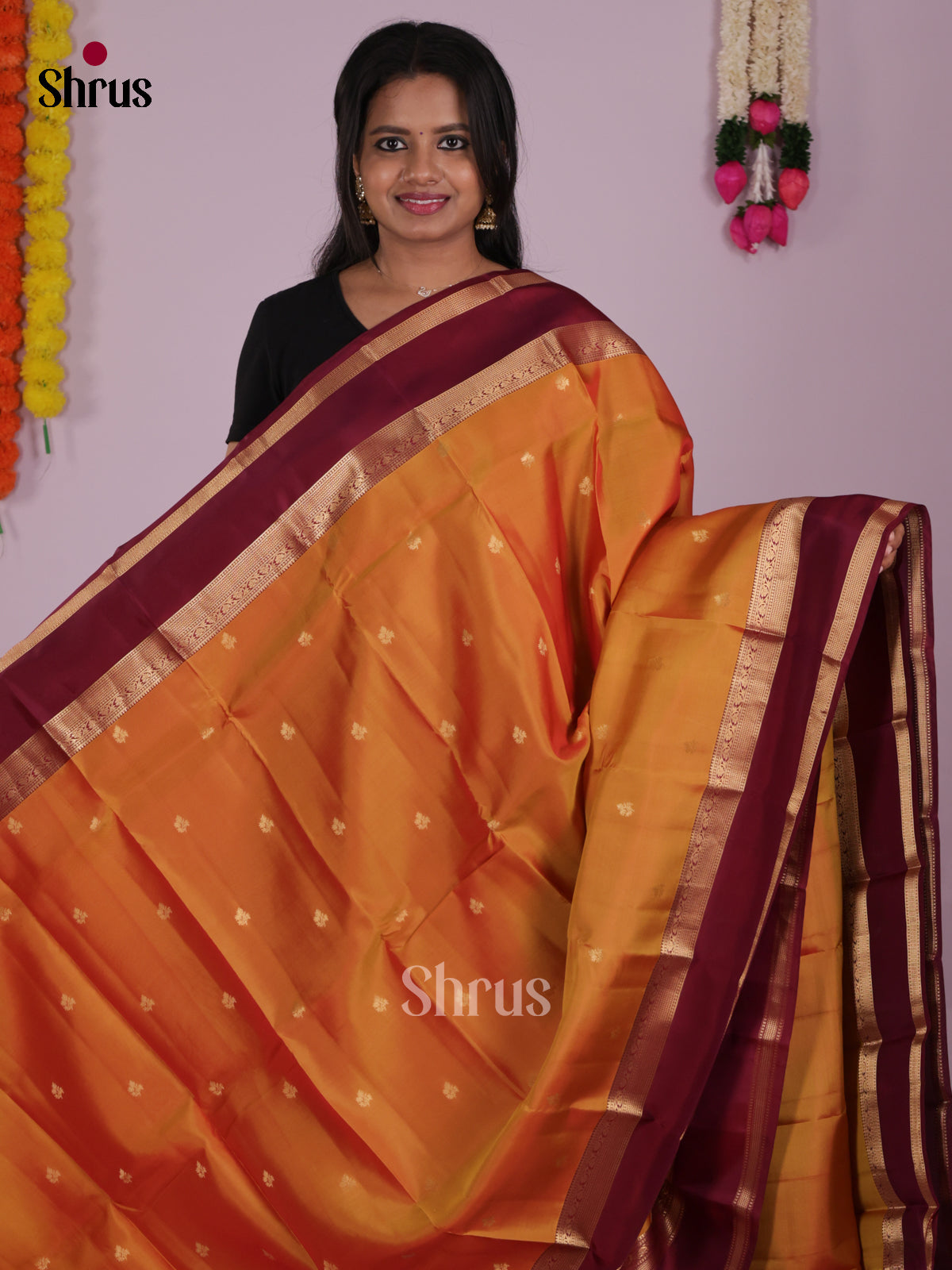 DIS16567 - Kanchipuram-halfpure Saree - Shop on Shrus.com