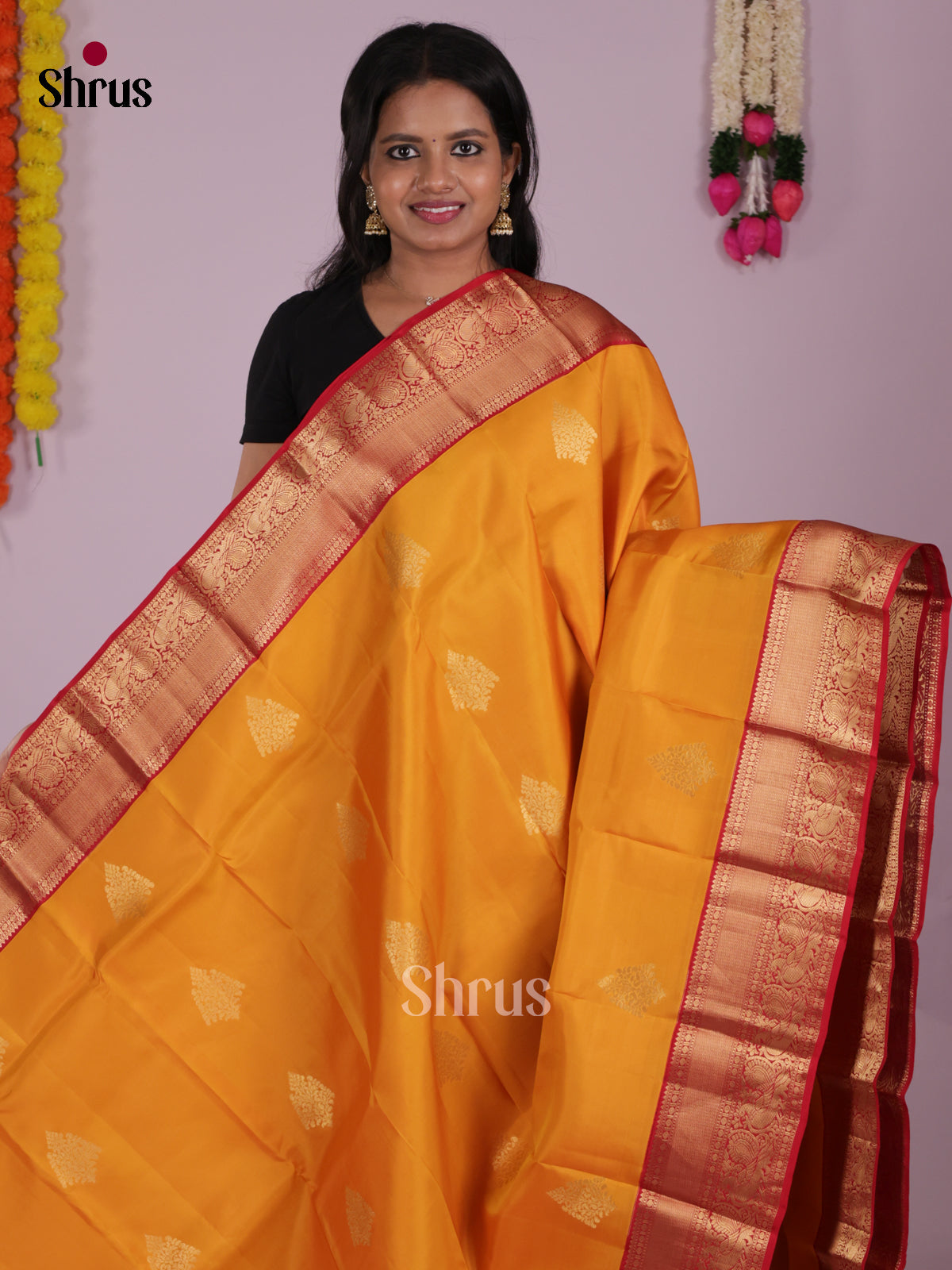 DIS16611 - Kanchipuram-halfpure Saree - Shop on Shrus.com