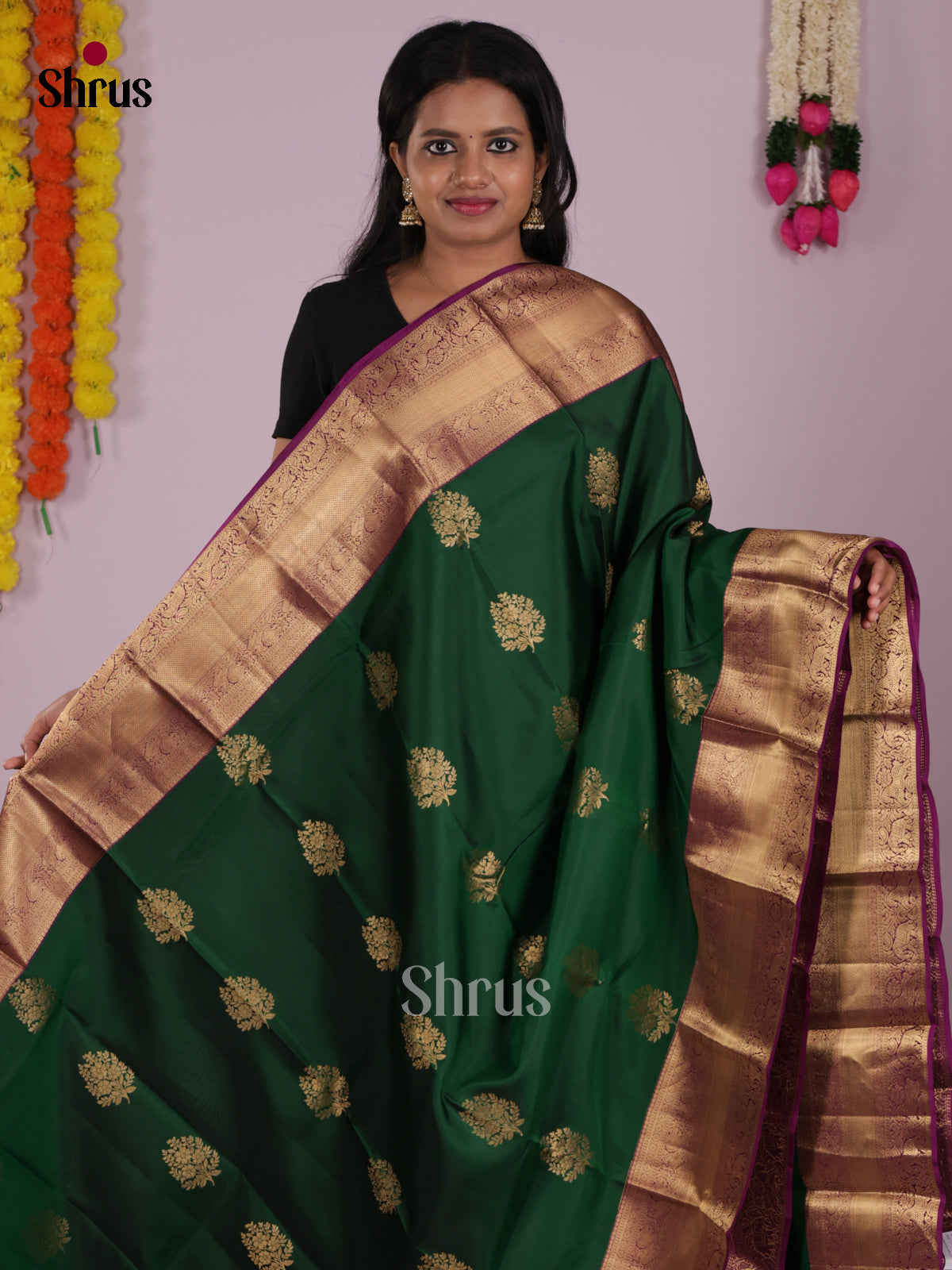 DIS16619 - Kanchipuram-halfpure Saree - Shop on Shrus.com