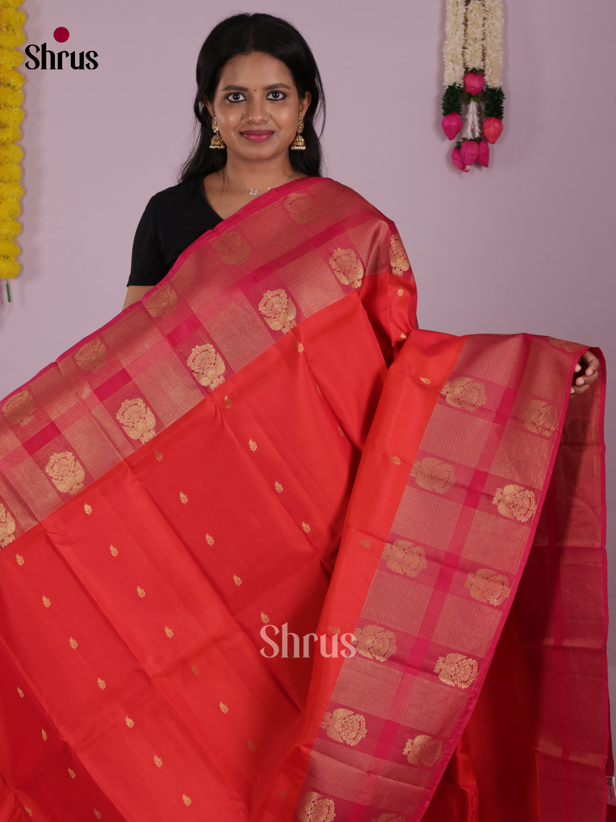 DIS16629 - Kanchipuram-halfpure Saree - Shop on Shrus.com