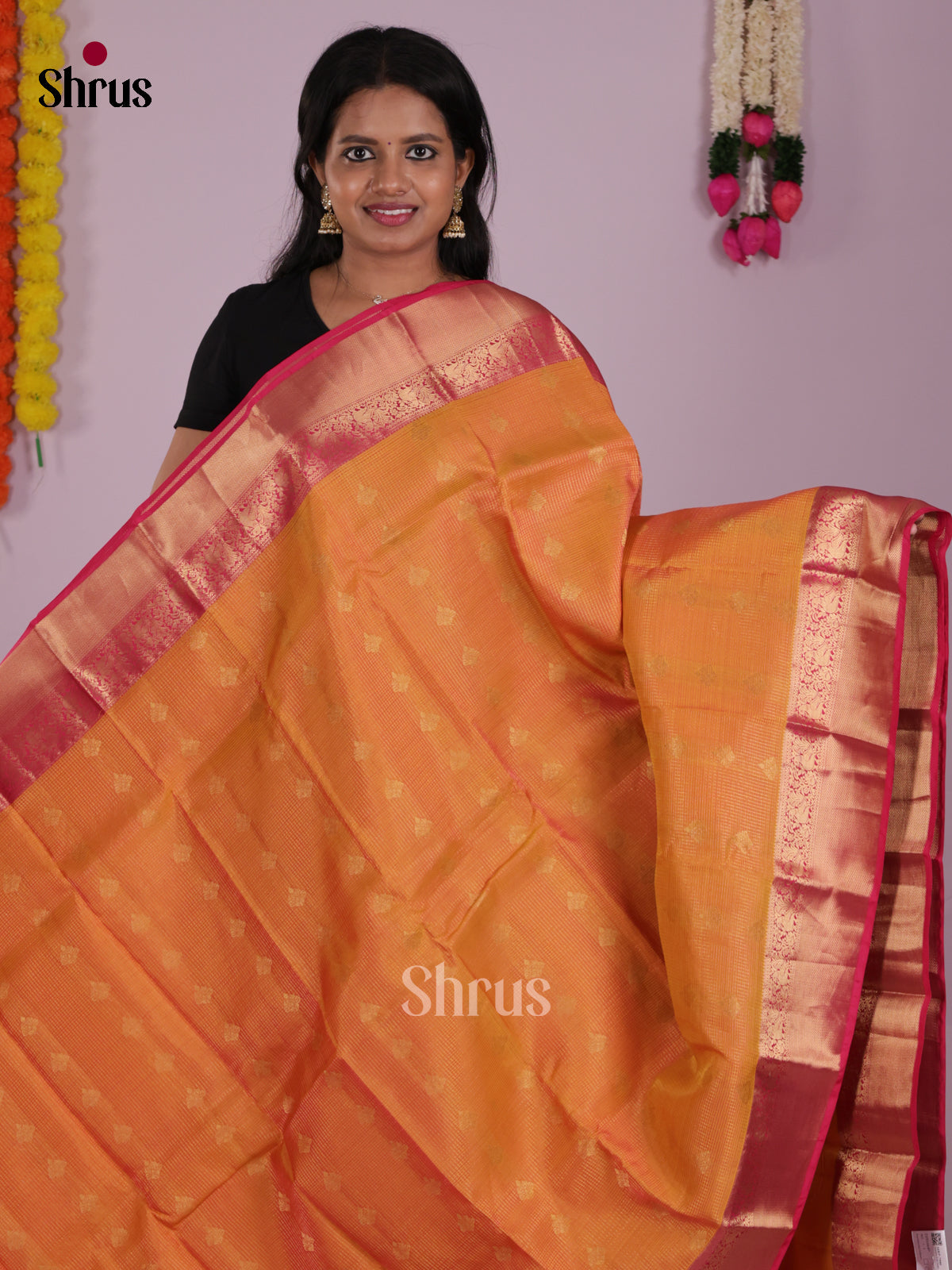 DIS16640 - Kanchipuram-halfpure Saree - Shop on Shrus.com