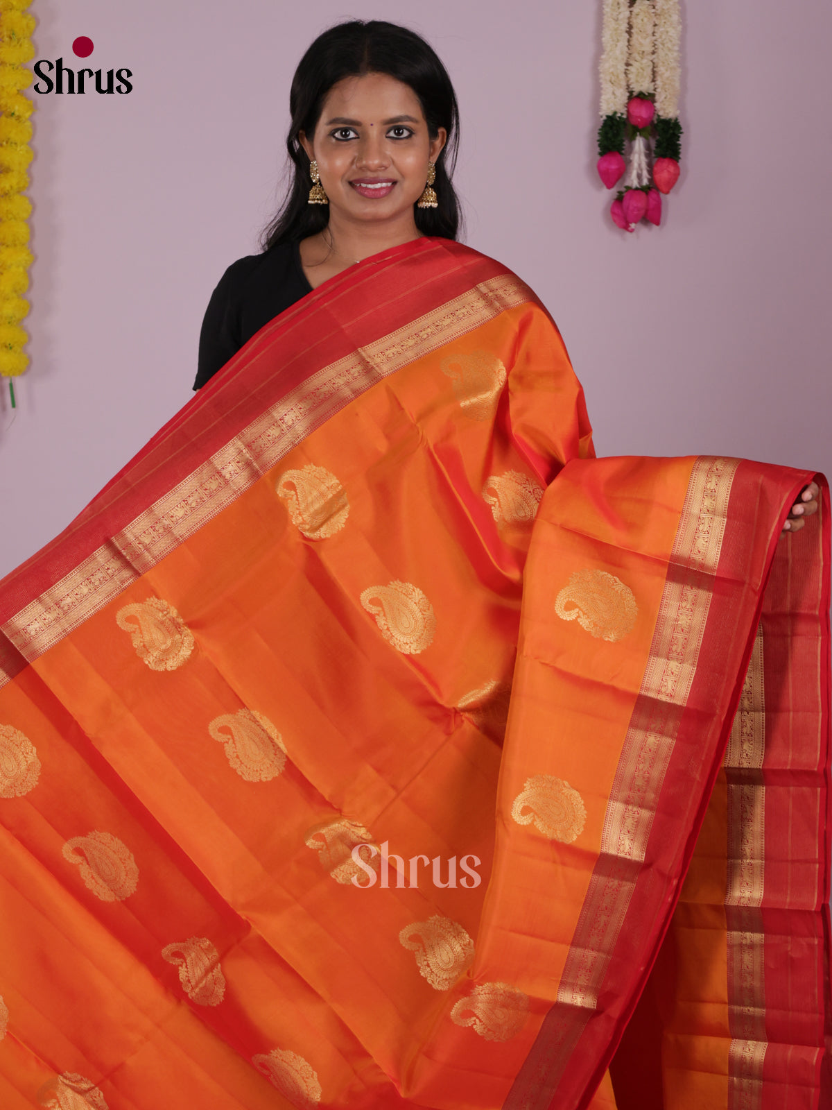 DIS16641 - Kanchipuram-halfpure Saree - Shop on Shrus.com