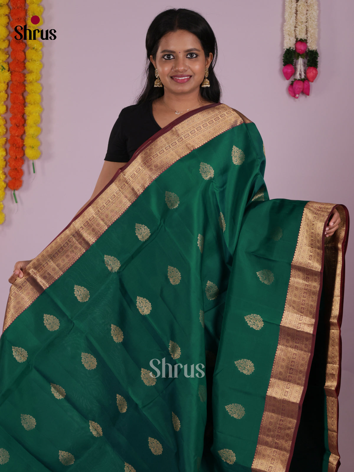 DIS16709 - Kanchipuram-halfpure Saree - Shop on Shrus.com