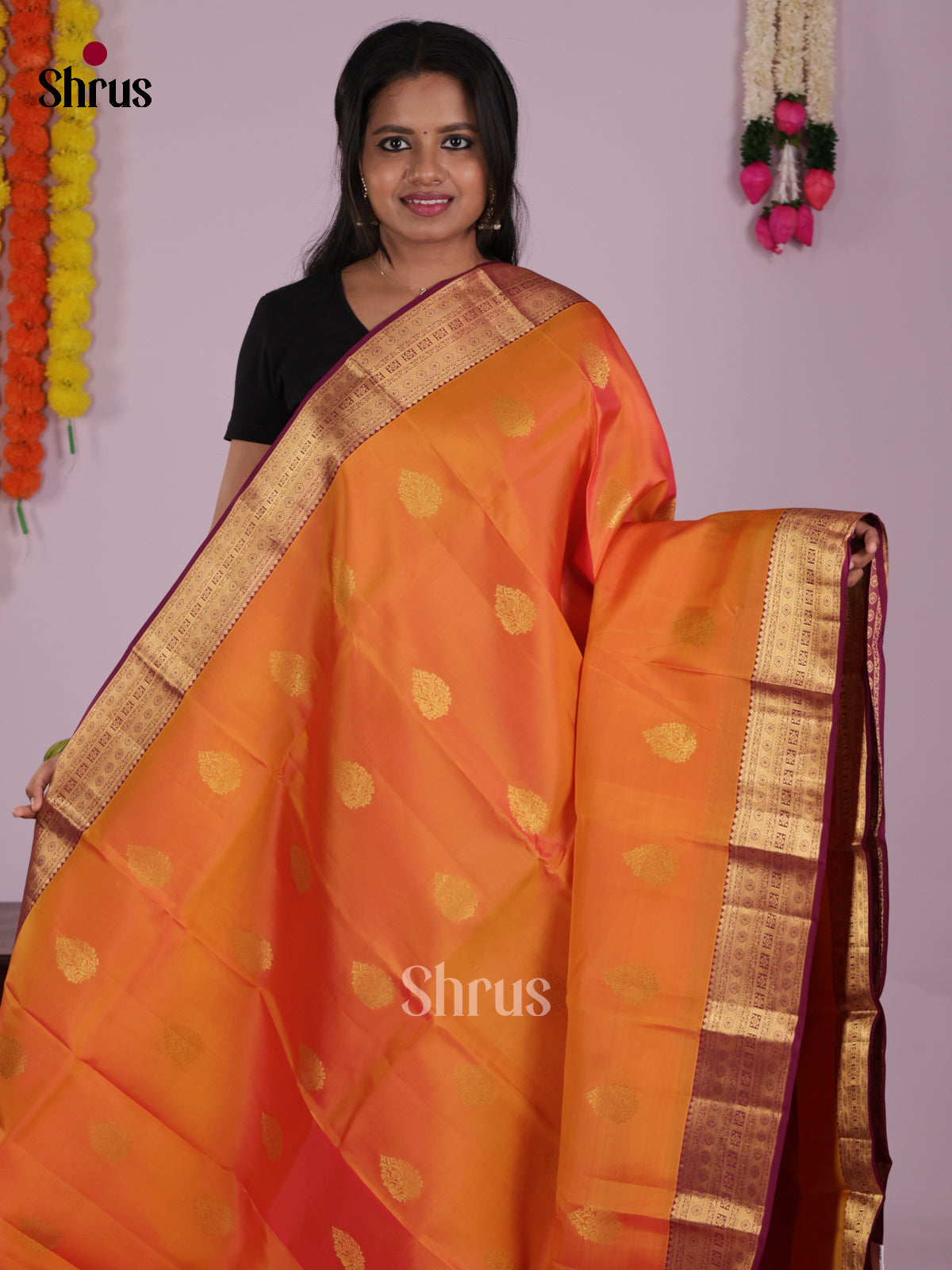 DIS16710 - Kanchipuram-halfpure Saree - Shop on Shrus.com