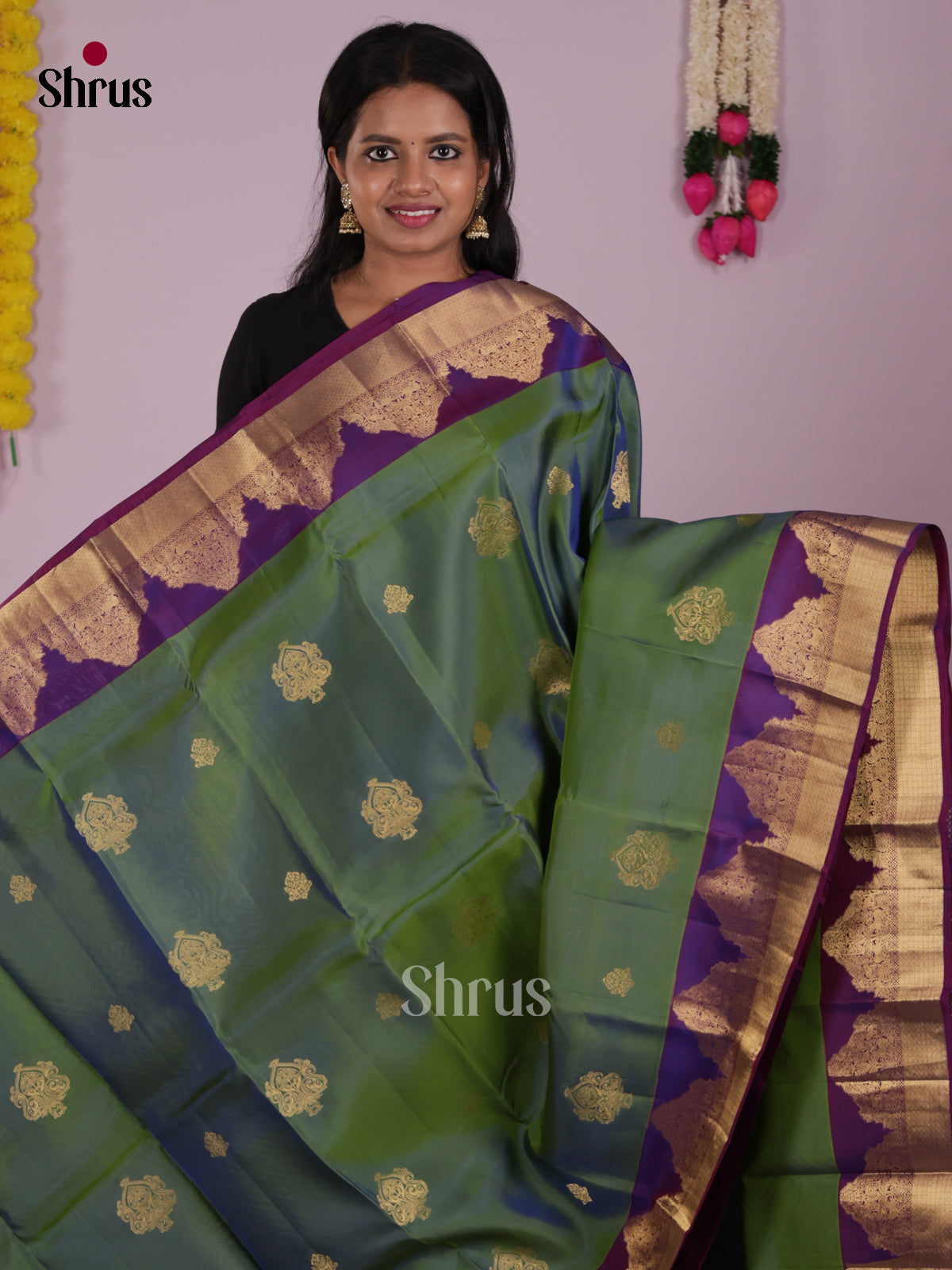 DIS16713 - Kanchipuram-halfpure Saree - Shop on Shrus.com