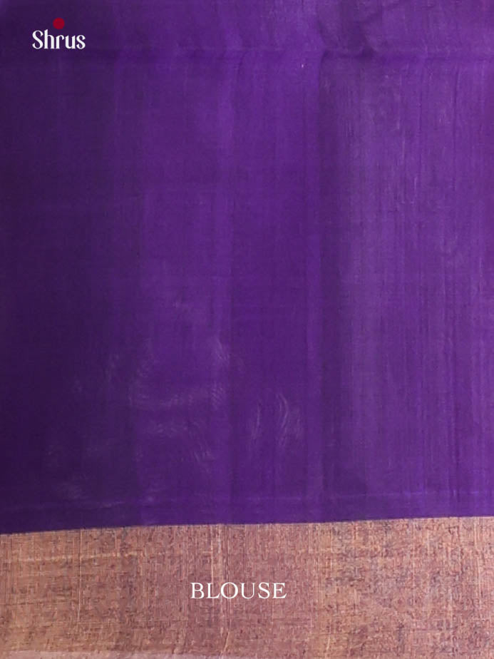 Orange & Violet - Pochampally sico Saree