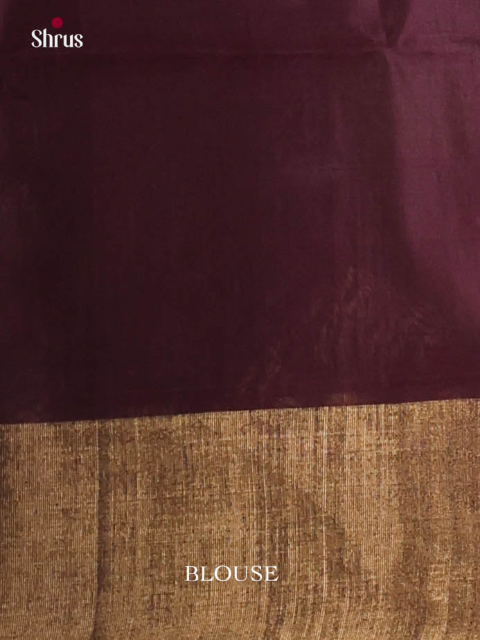 Light Green & Maroon - Pochampally sico Saree