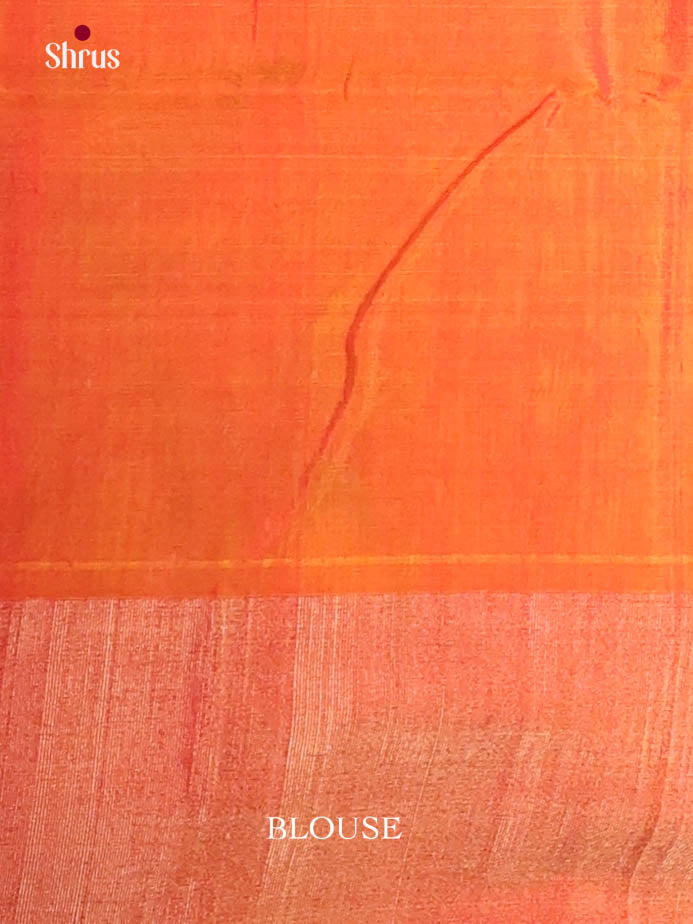 Black & Orange - Pochampally sico Saree