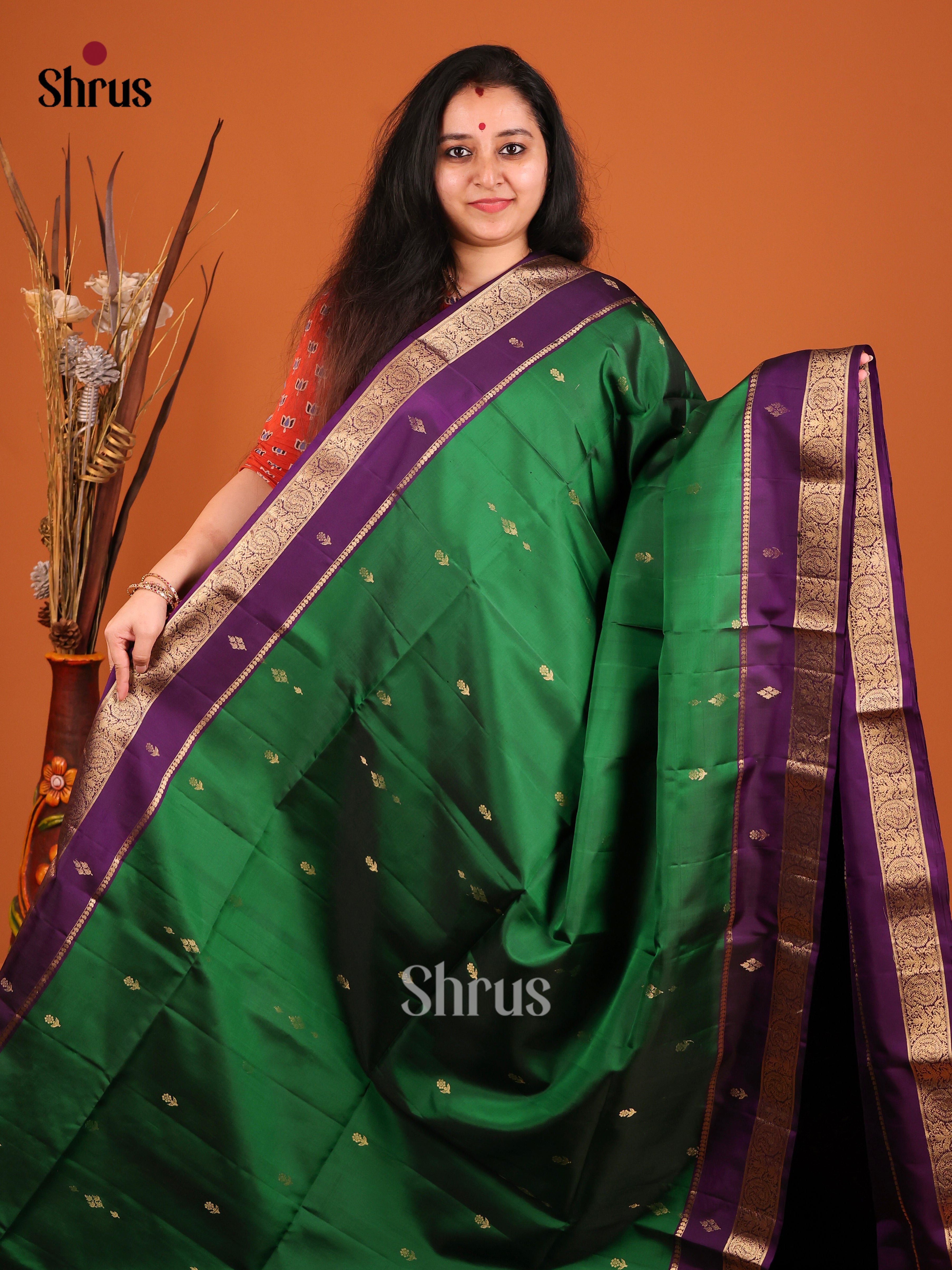 DIS16958 - Soft Silk (HR) Saree - Shop on Shrus.com