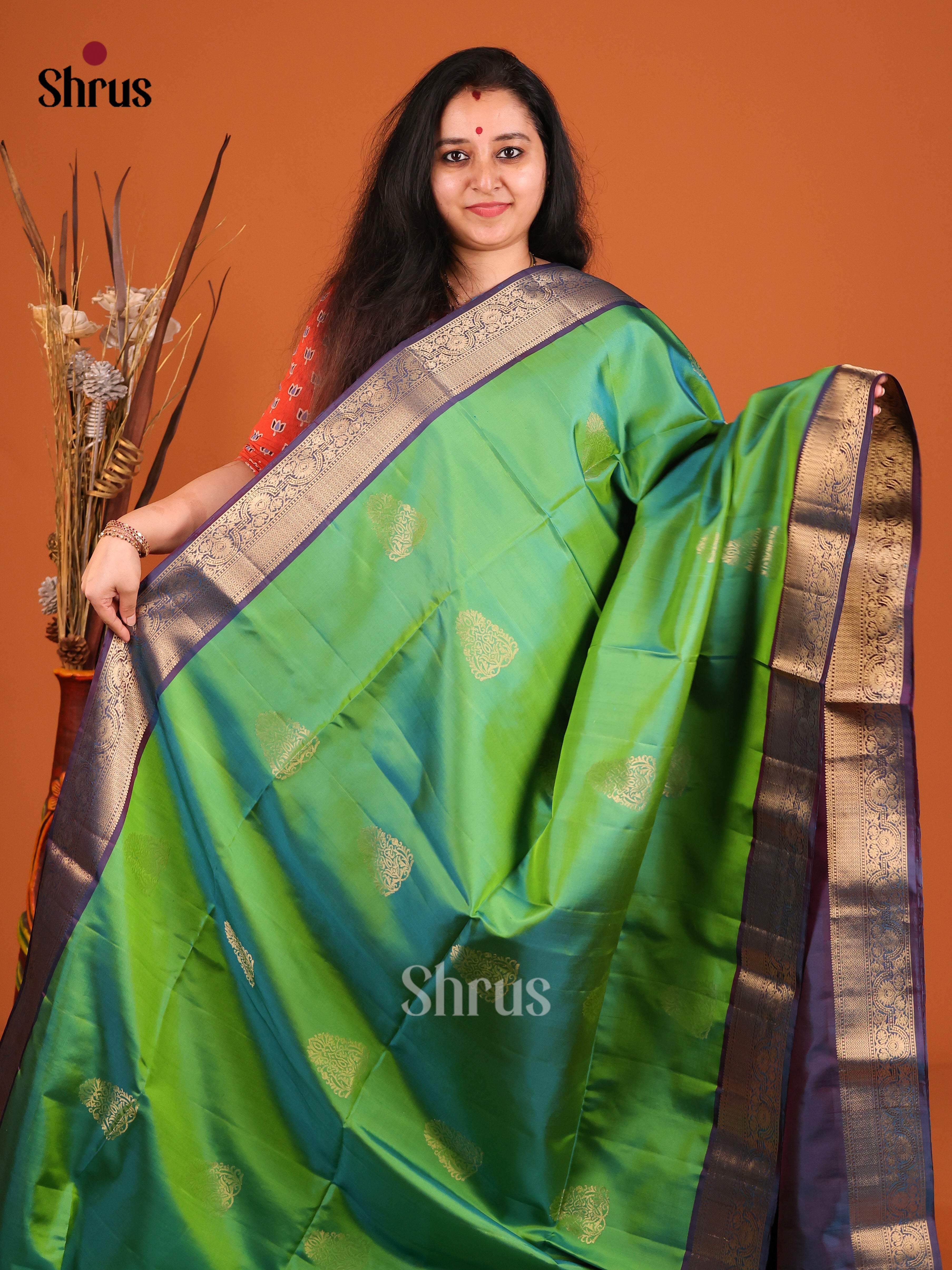 DIS16967 - Soft Silk (HR) Saree - Shop on Shrus.com