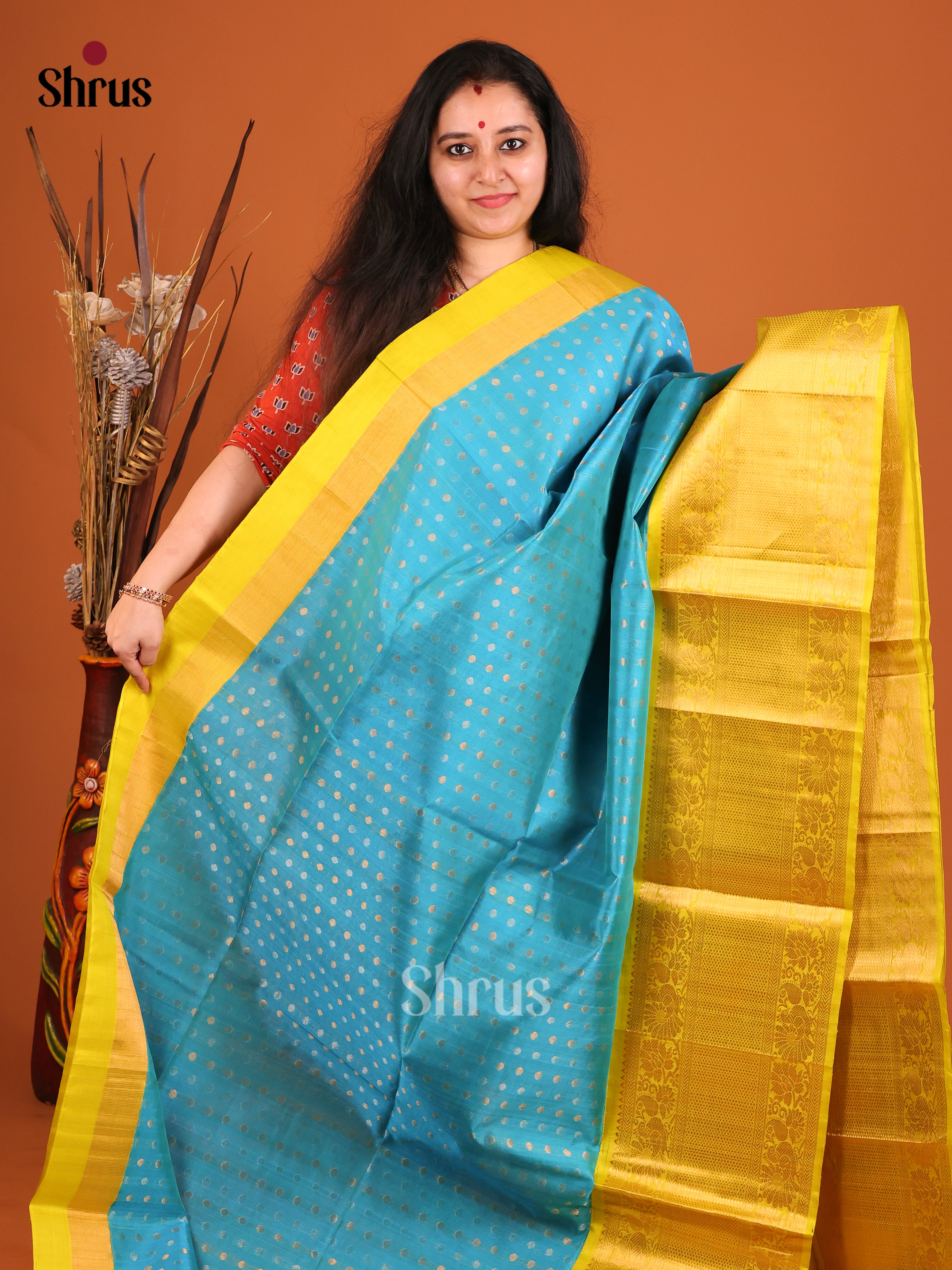 DIS17168 - Korvai-Big border Saree