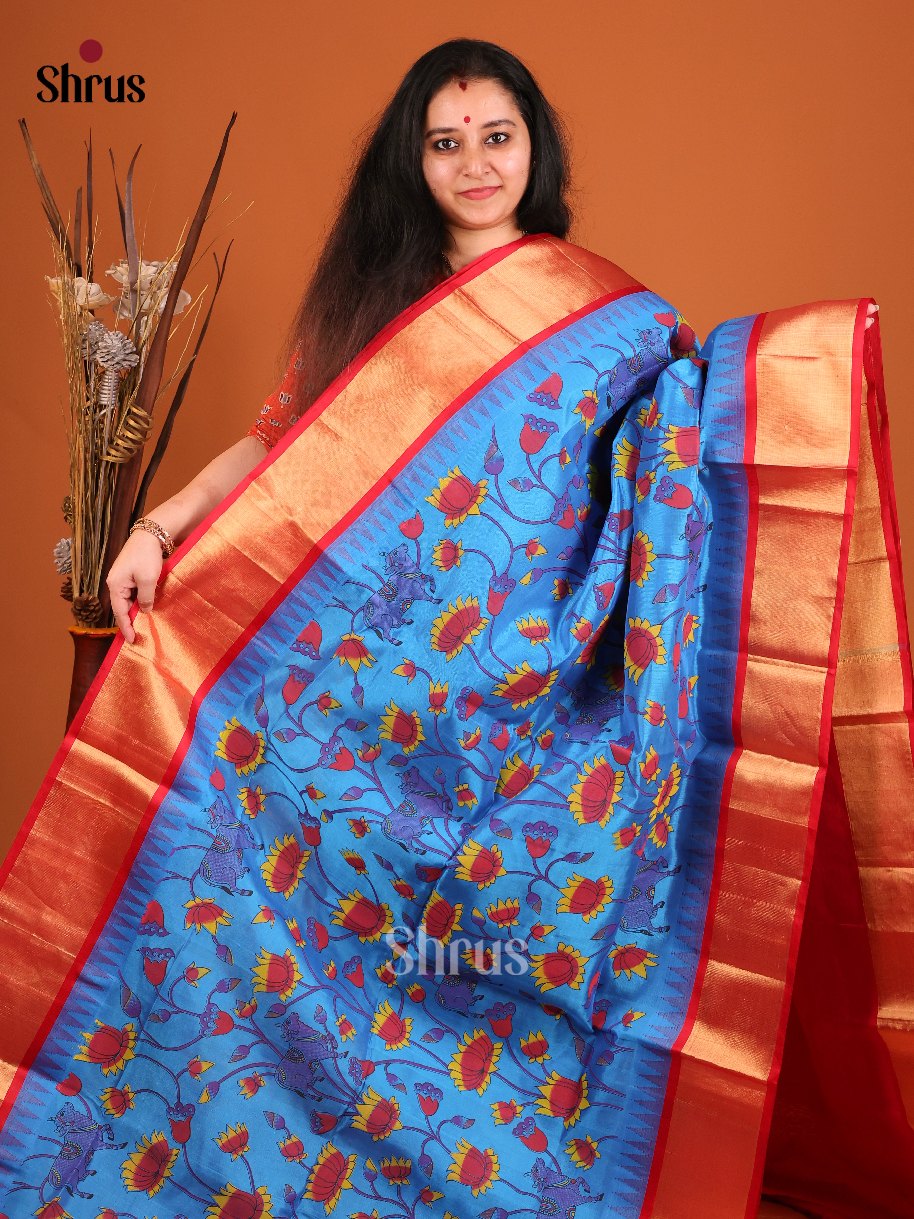 DIS17180 - Temple-border Saree