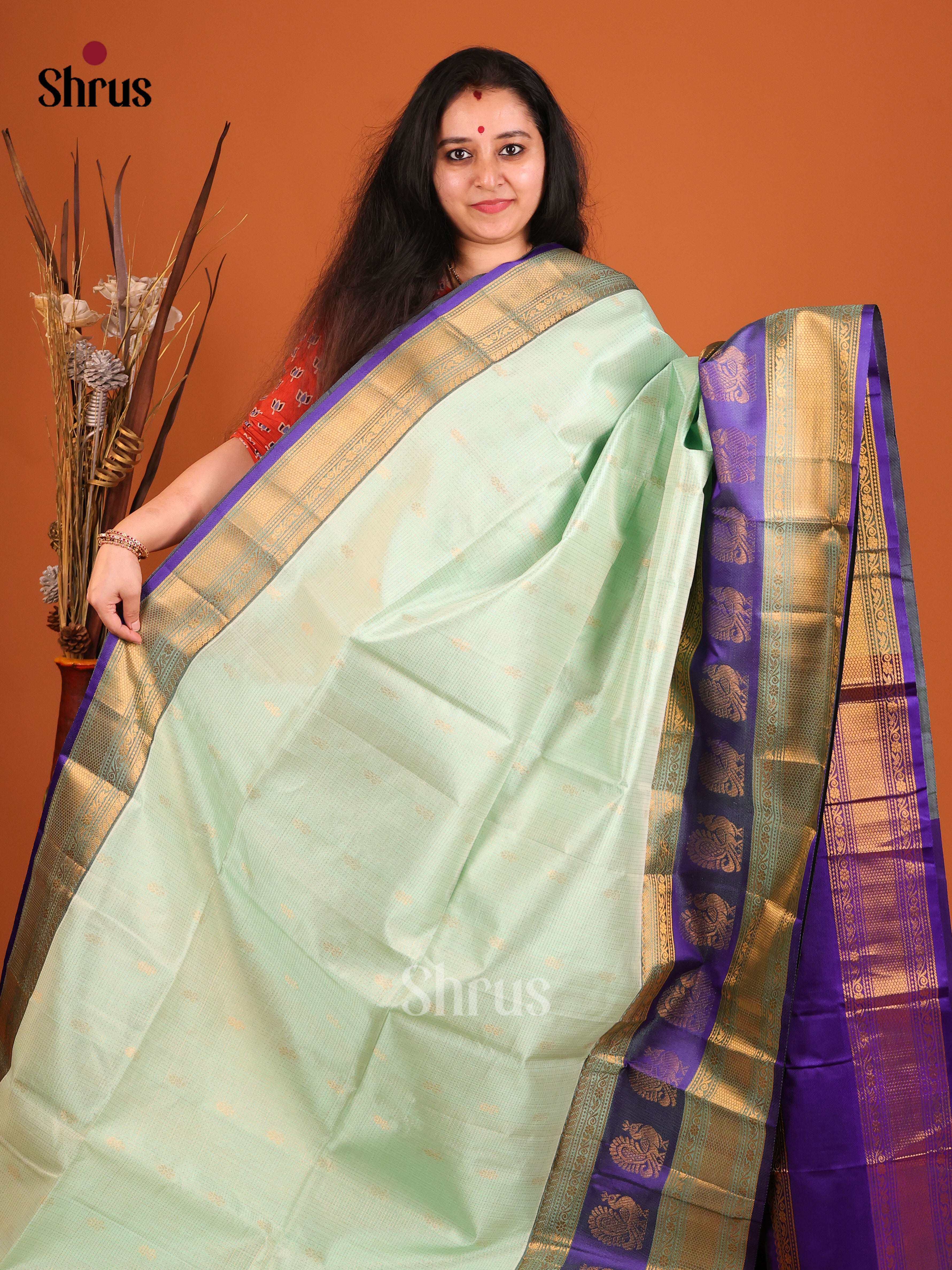 DIS17206 - Korvai-Big border Saree - Shop on Shrus.com