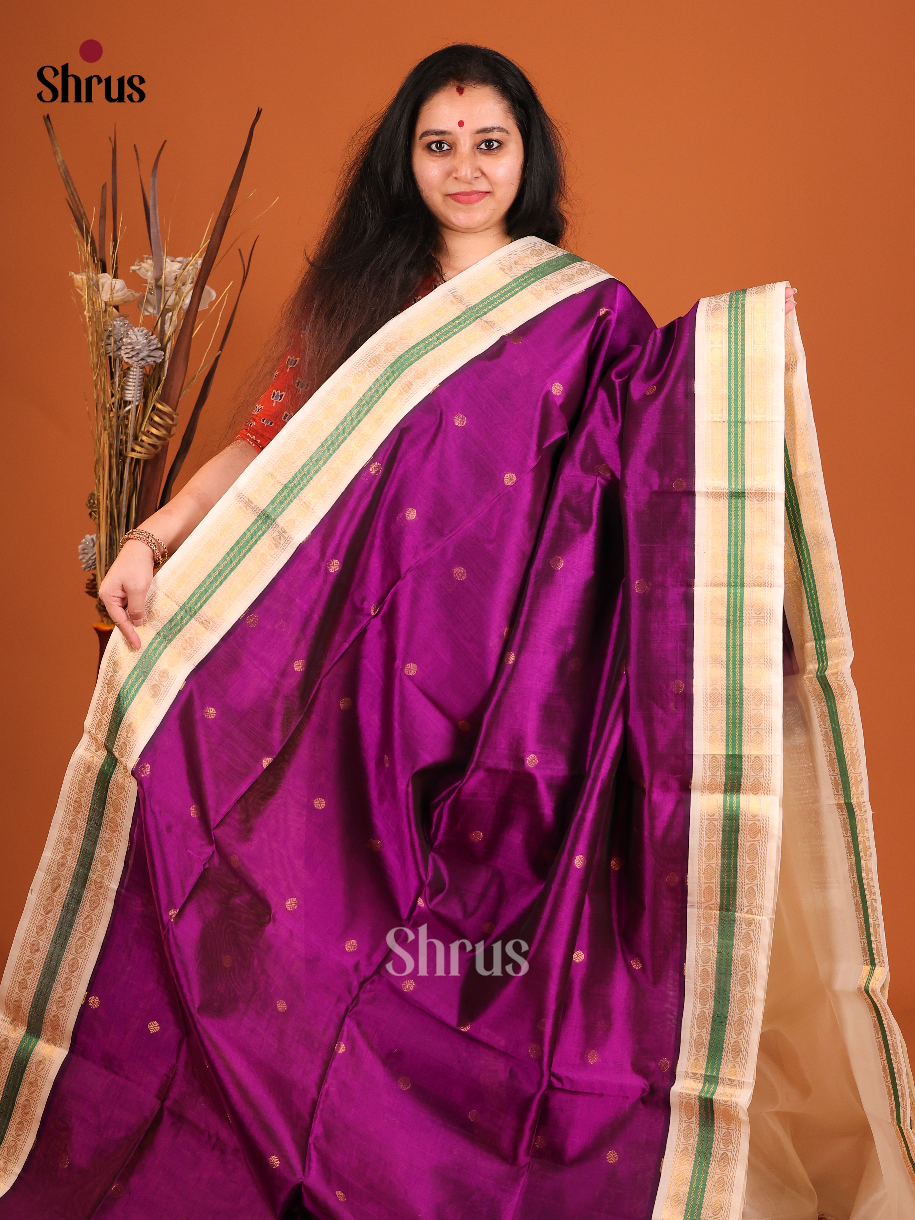 Purple sandel Korvai Small border Saree 1