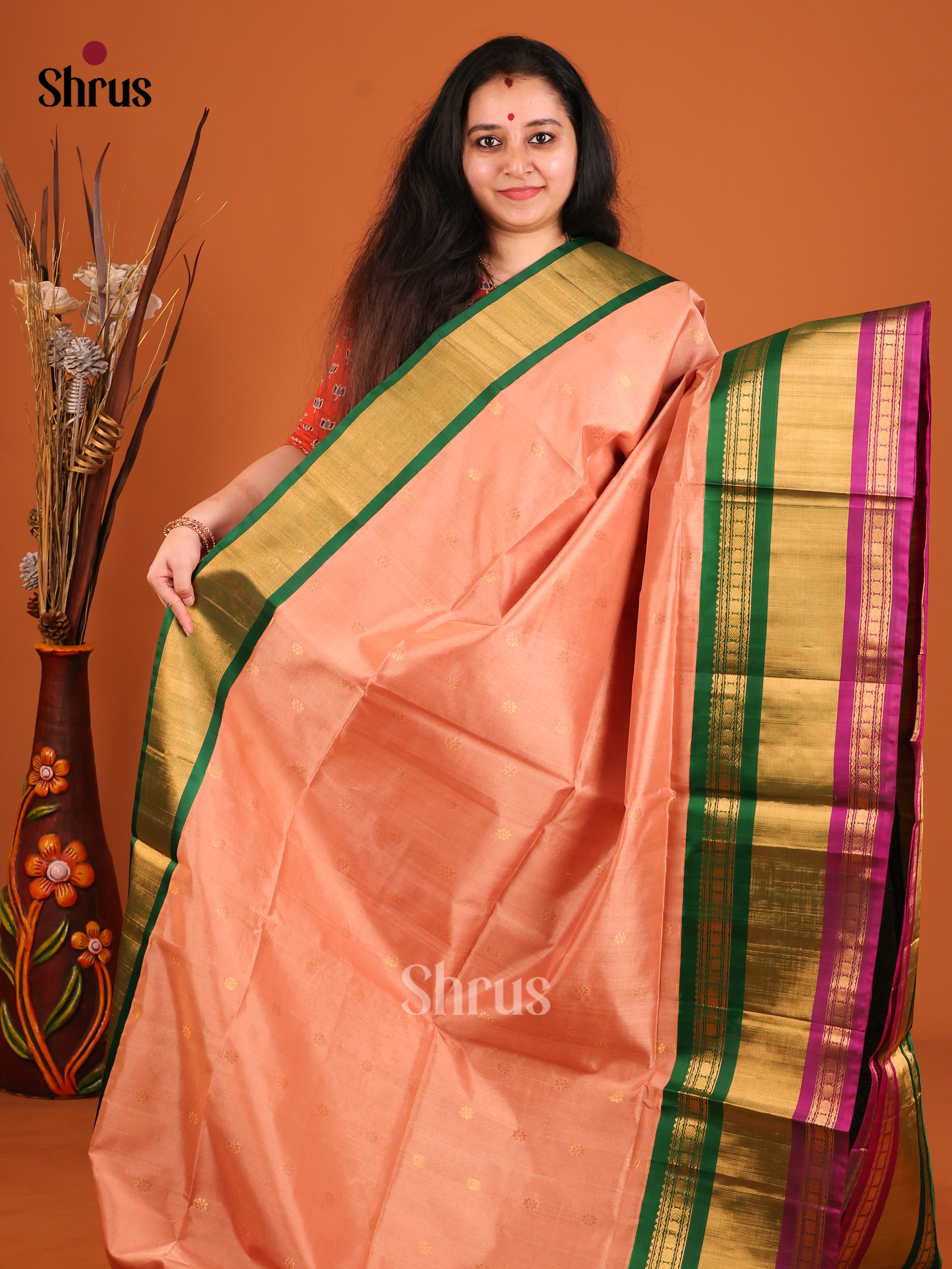 DIS17226 - Korvai-Big border Saree - Shop on Shrus.com