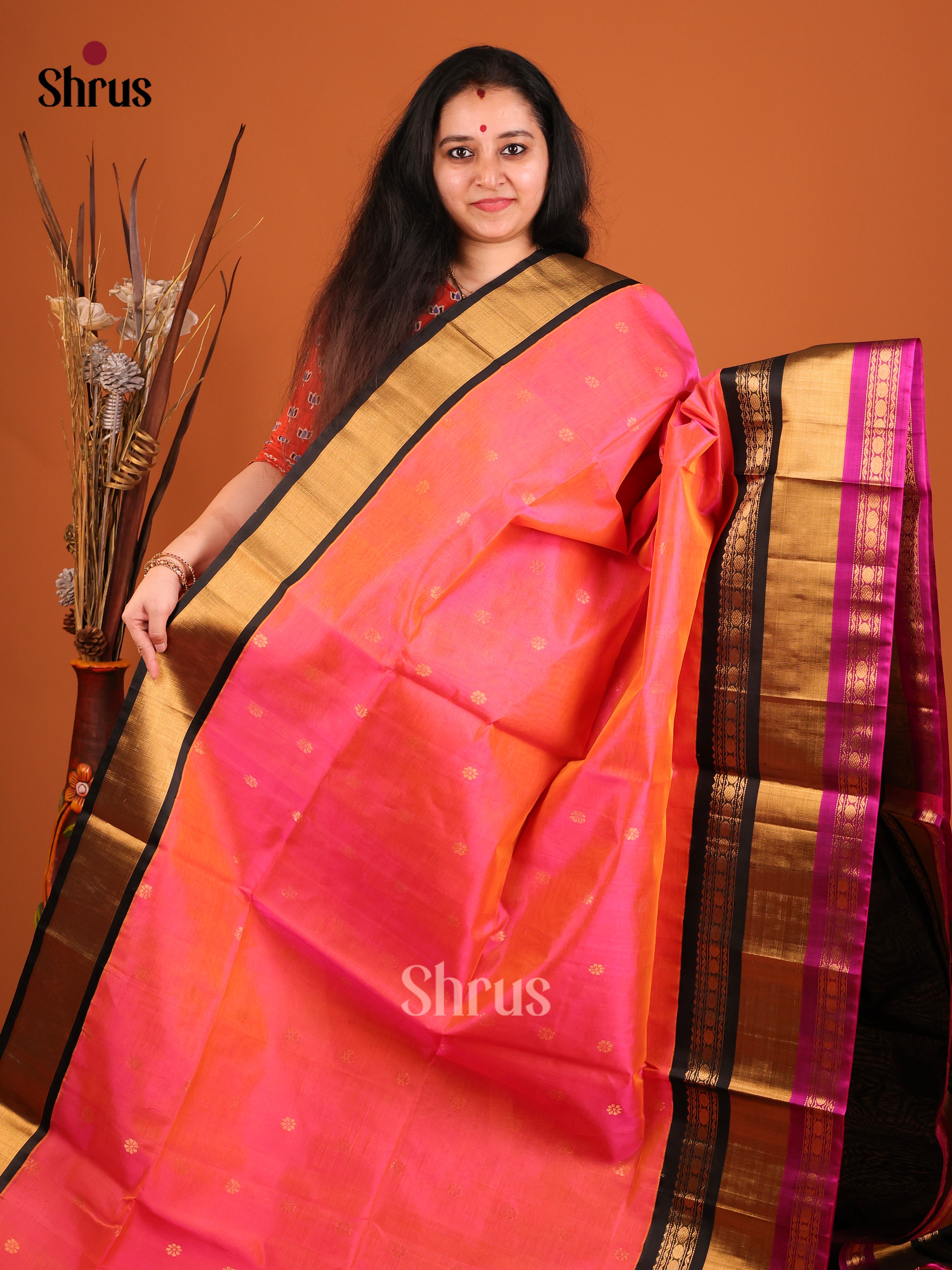DIS17229 - Korvai-Big border Saree - Shop on Shrus.com