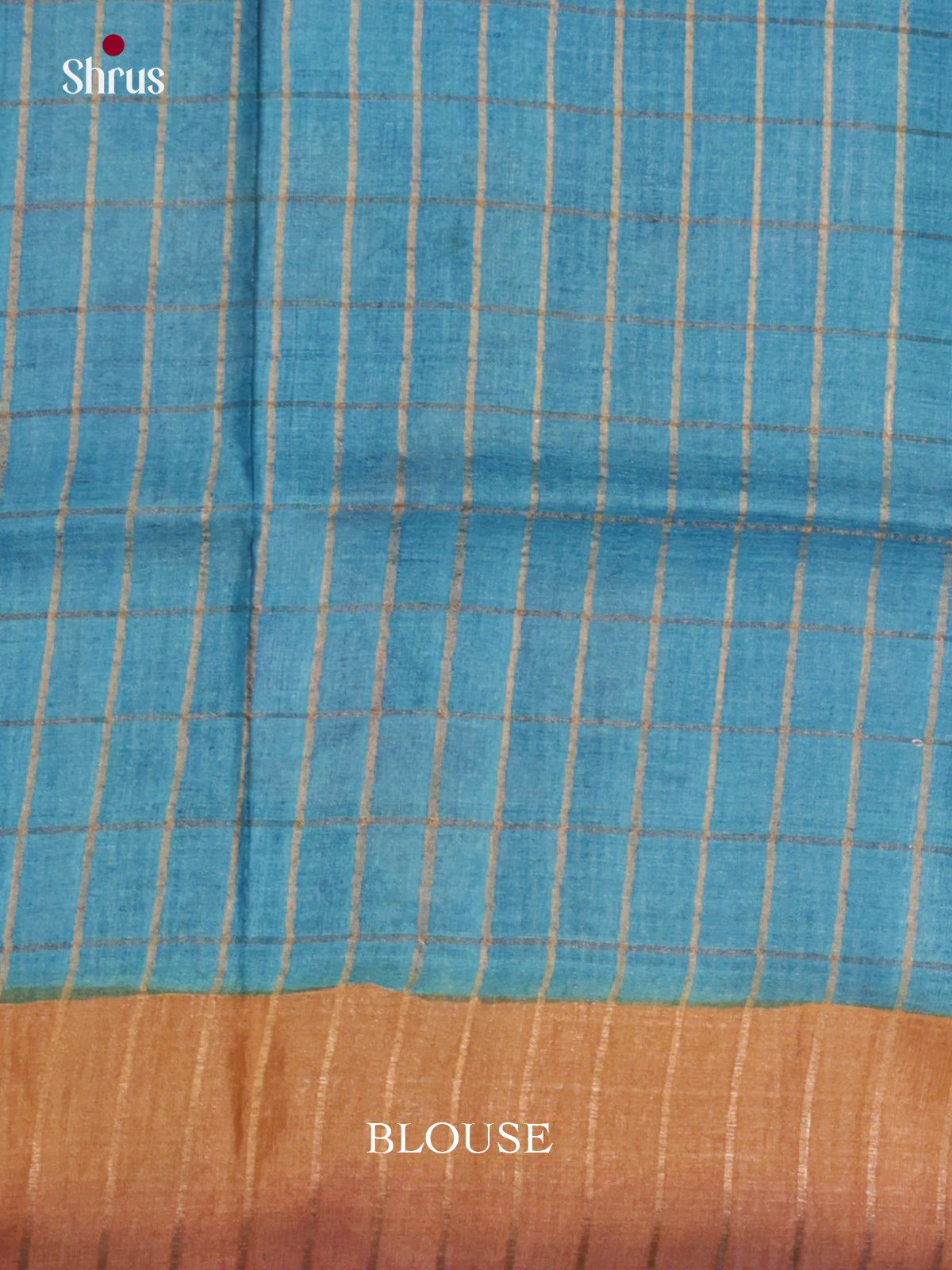 DIS17722 - Tussar Saree
