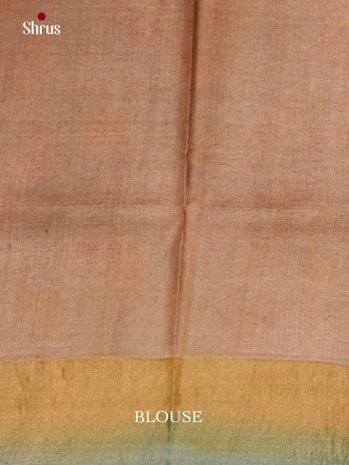 DIS17739 - Tussar Saree