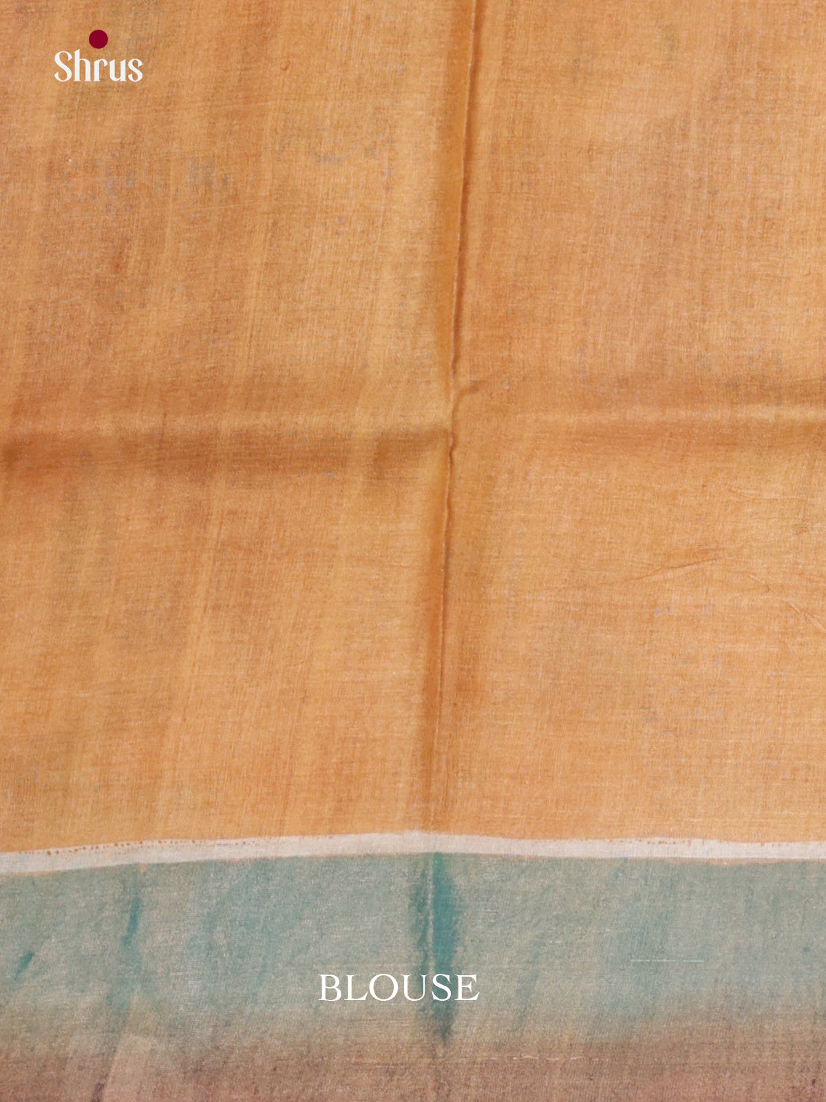 DIS17752 - Tussar Saree