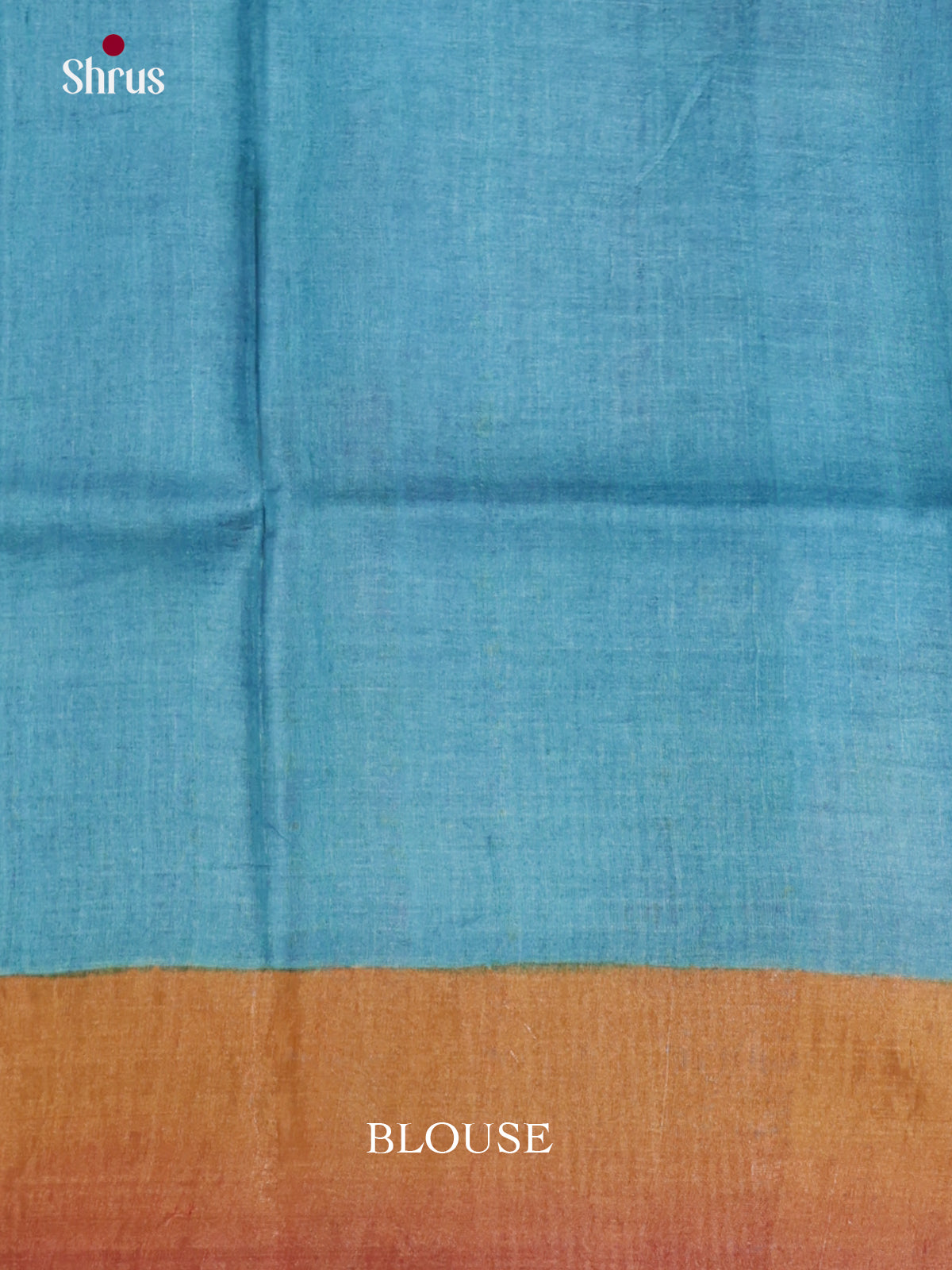 DIS17756 - Tussar Saree - Shop on Shrus.com